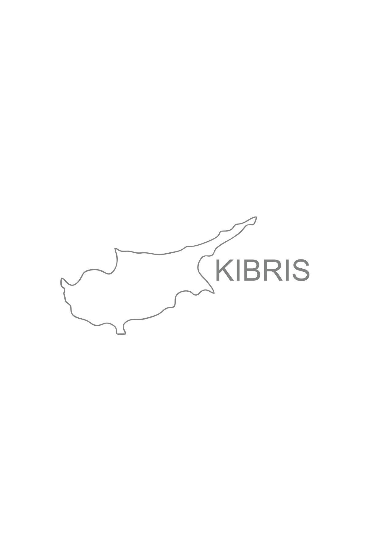 Reysa Tasarım Kıbrıs Harita Araba Sticker 17x17 Cm Gri
