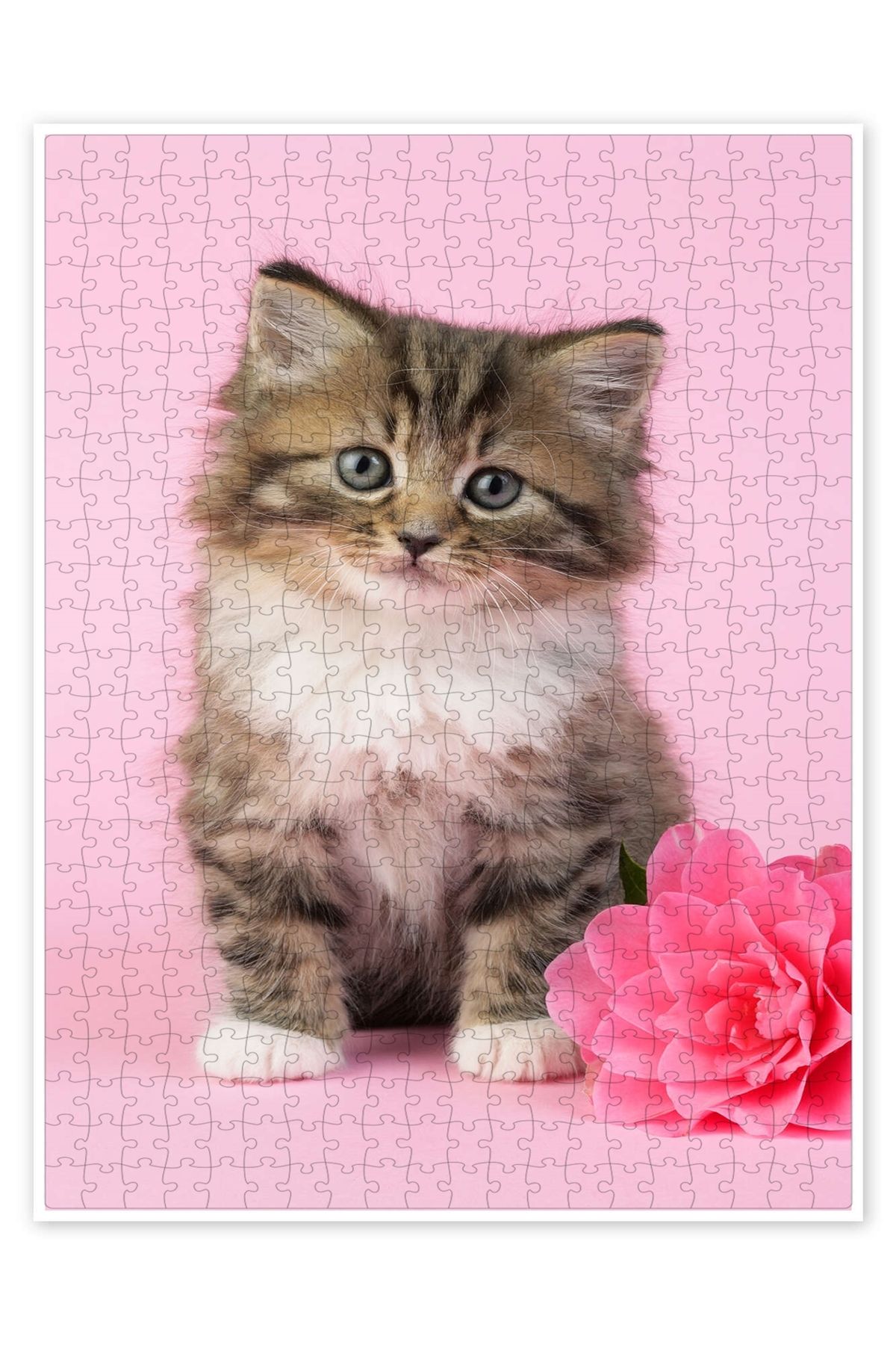 Jeronkarji Çiçekli Yavru Kedi 500 Parça Puzzle Yapboz Kedi Köpek Temalı Doğa ve Orman Hayvanları