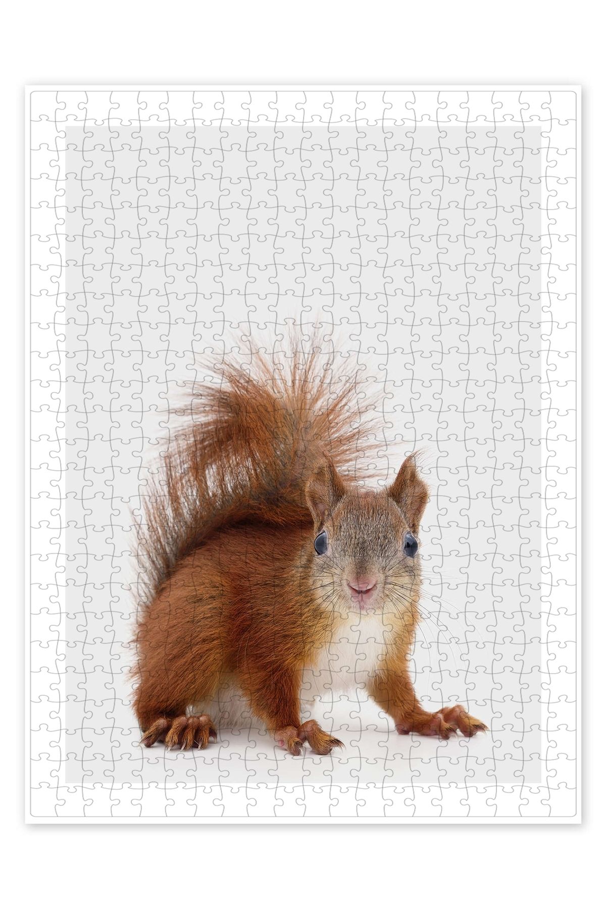 Jeronkarji Sincap II 500 Parça Puzzle Yapboz Çocuklar için Neşeli Hayvan Temalı