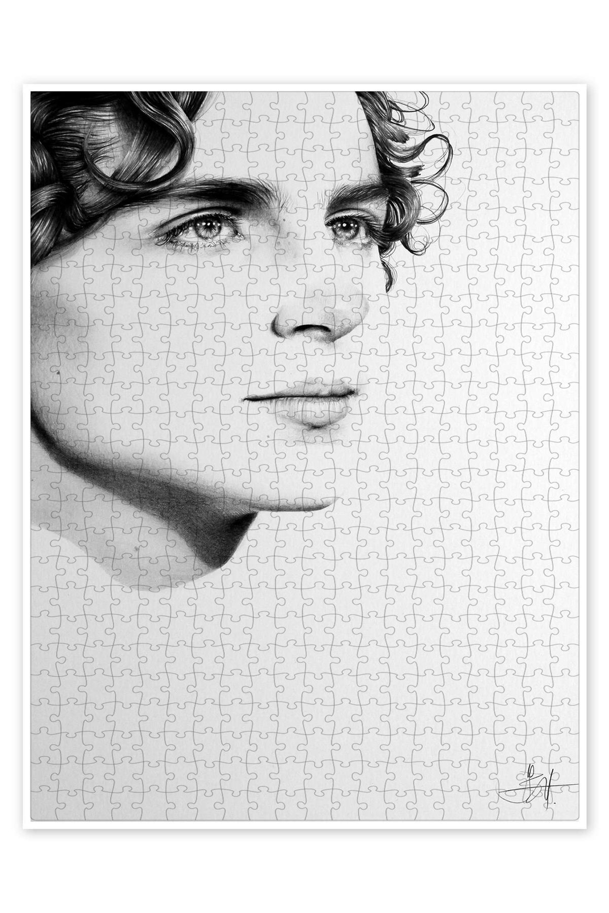 Jeronkarji Timothee Chalamet 500 Parça Puzzle Yapboz Klasik Film Temalı