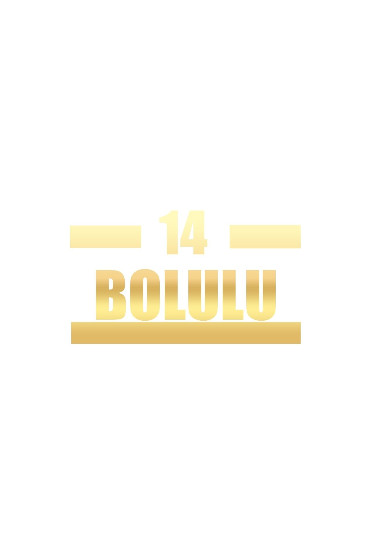 Reysa Tasarım 14 Bolulu Araba Sticker 17x17 Cm Gold