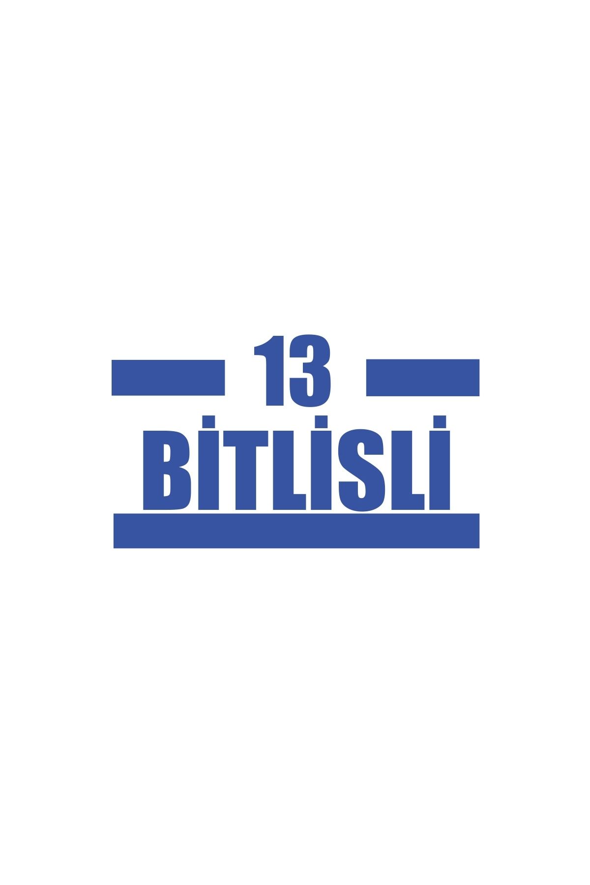 Reysa Tasarım 13 Bitlisli Araba Sticker 17x17 Cm Mavi