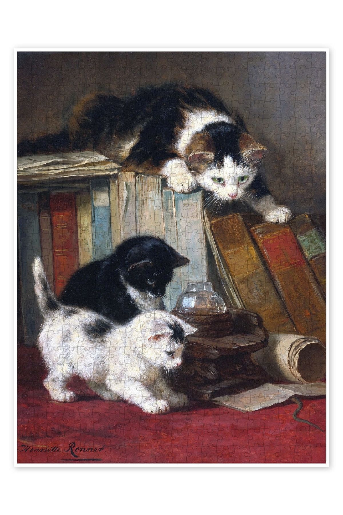 Jeronkarji Kertenkele izle 500 Parça Puzzle Yapboz Kedi Köpek Temalı Doğa ve Orman Hayvanları