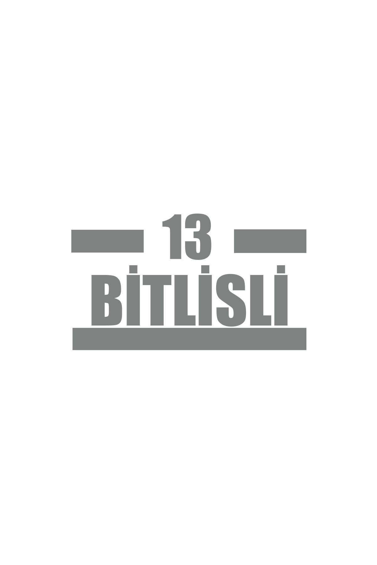 Reysa Tasarım 13 Bitlisli Araba Sticker 17x17 Cm Gri