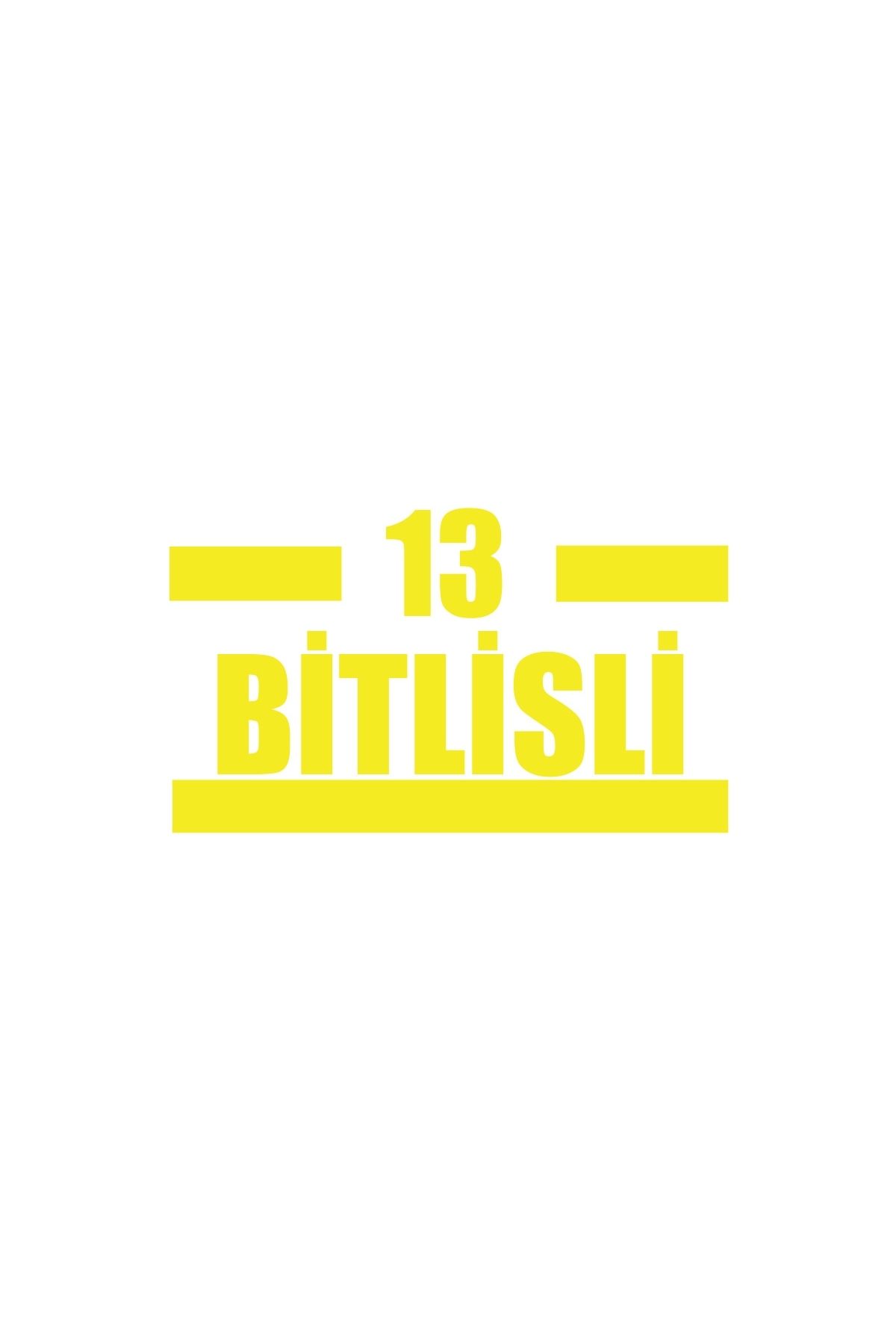 Reysa Tasarım 13 Bitlisli Araba Sticker 17x17 Cm Sarı