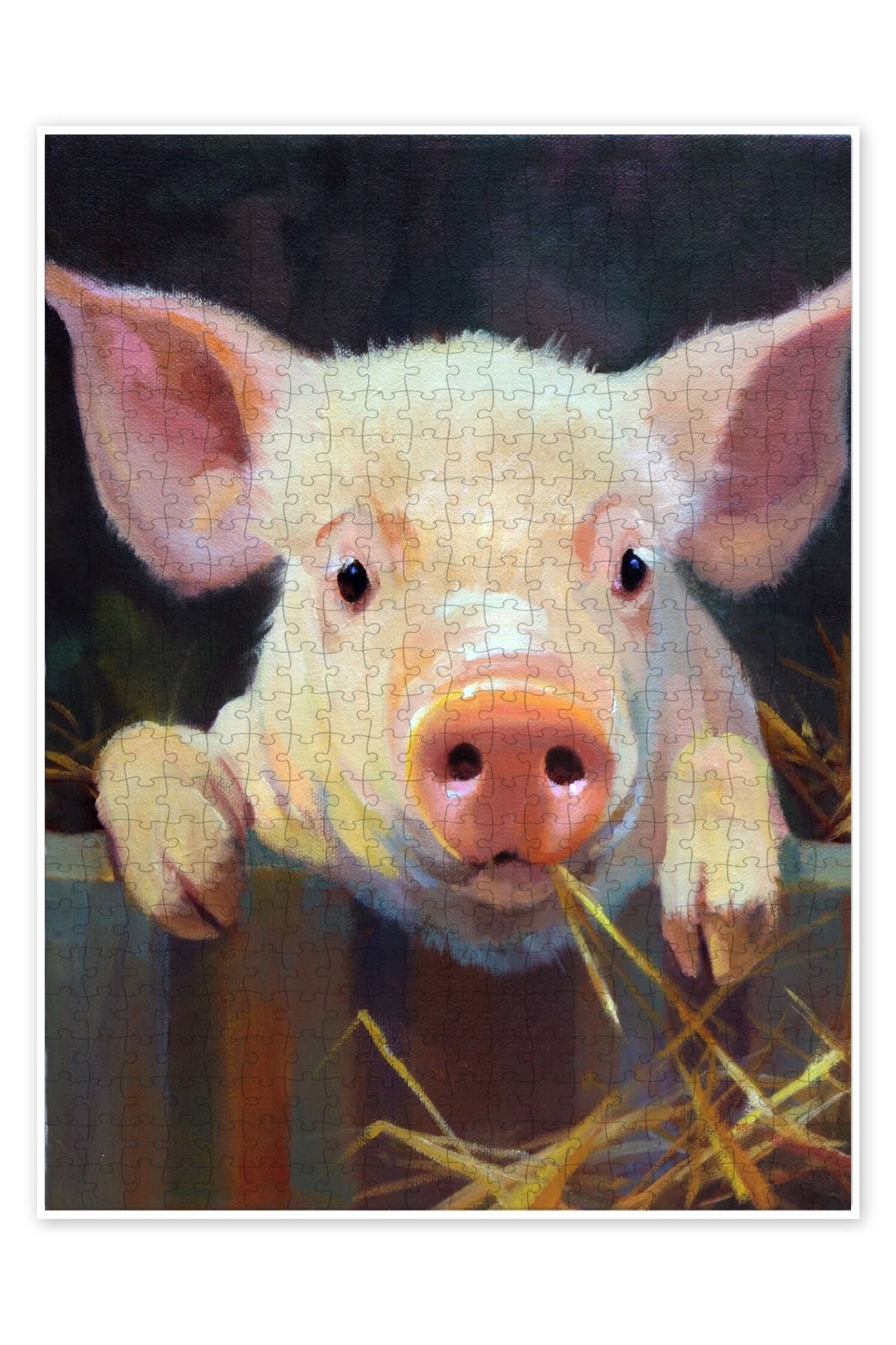 Jeronkarji Pembe domuzcuk 500 Parça Puzzle Yapboz Kedi Köpek Temalı Doğa ve Orman Hayvanları