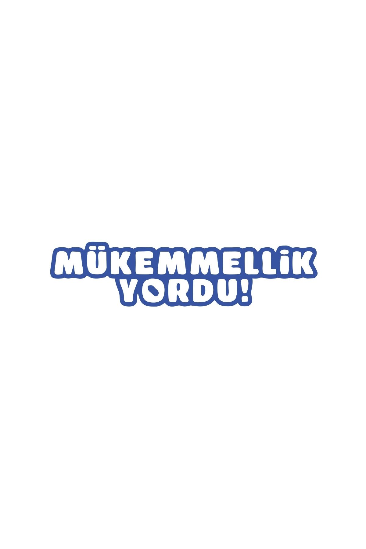 Reysa Tasarım Mükemmellik Yordu Araba Sticker 17x17 Cm Mavi