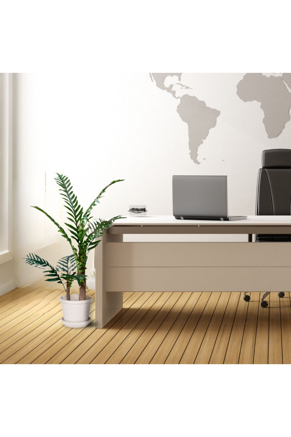 ECEA Store Eğrelti Çalısı