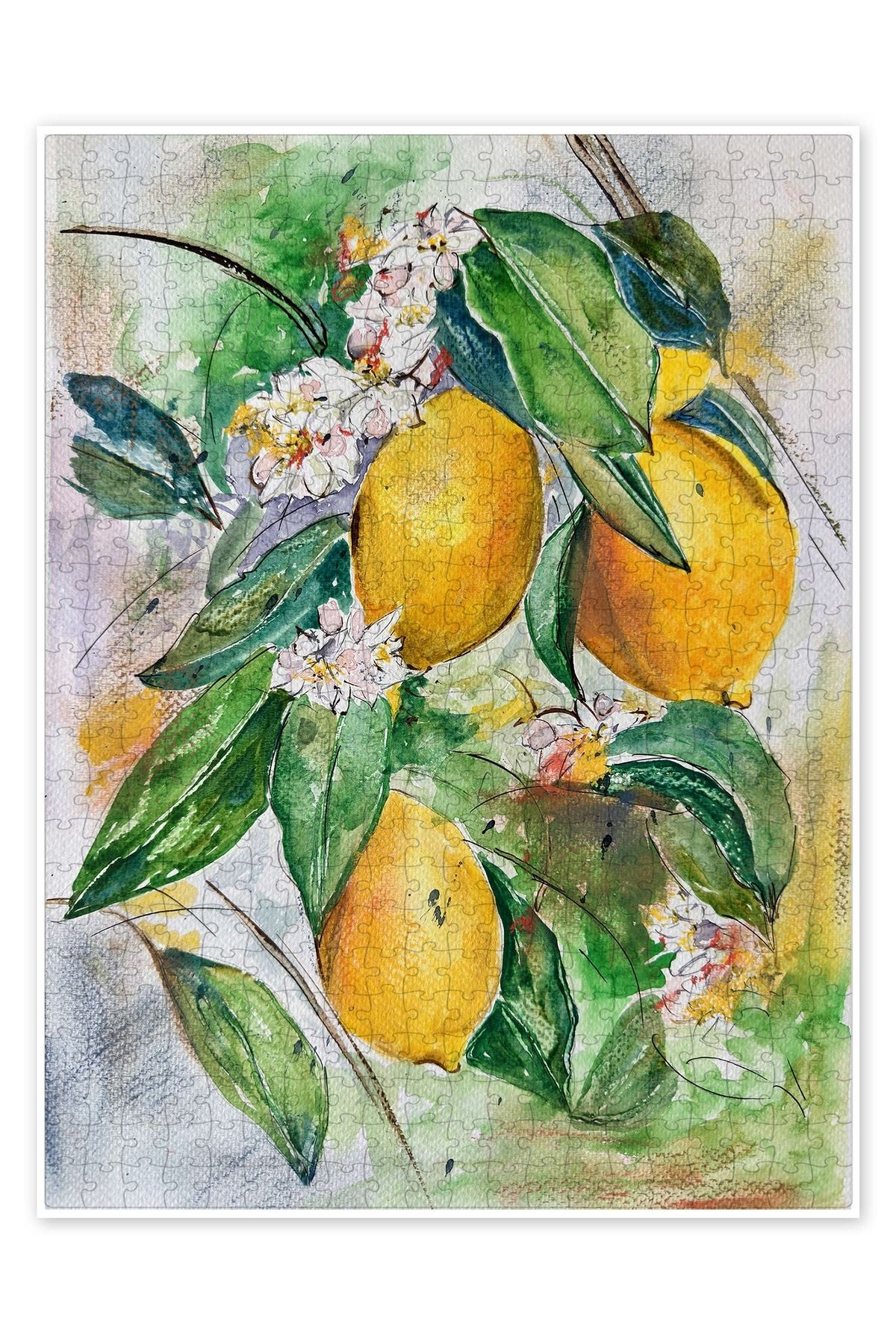 Jeronkarji Limonlar 500 Parça Puzzle Yapboz Mutfak Temalı Yetişkinler için