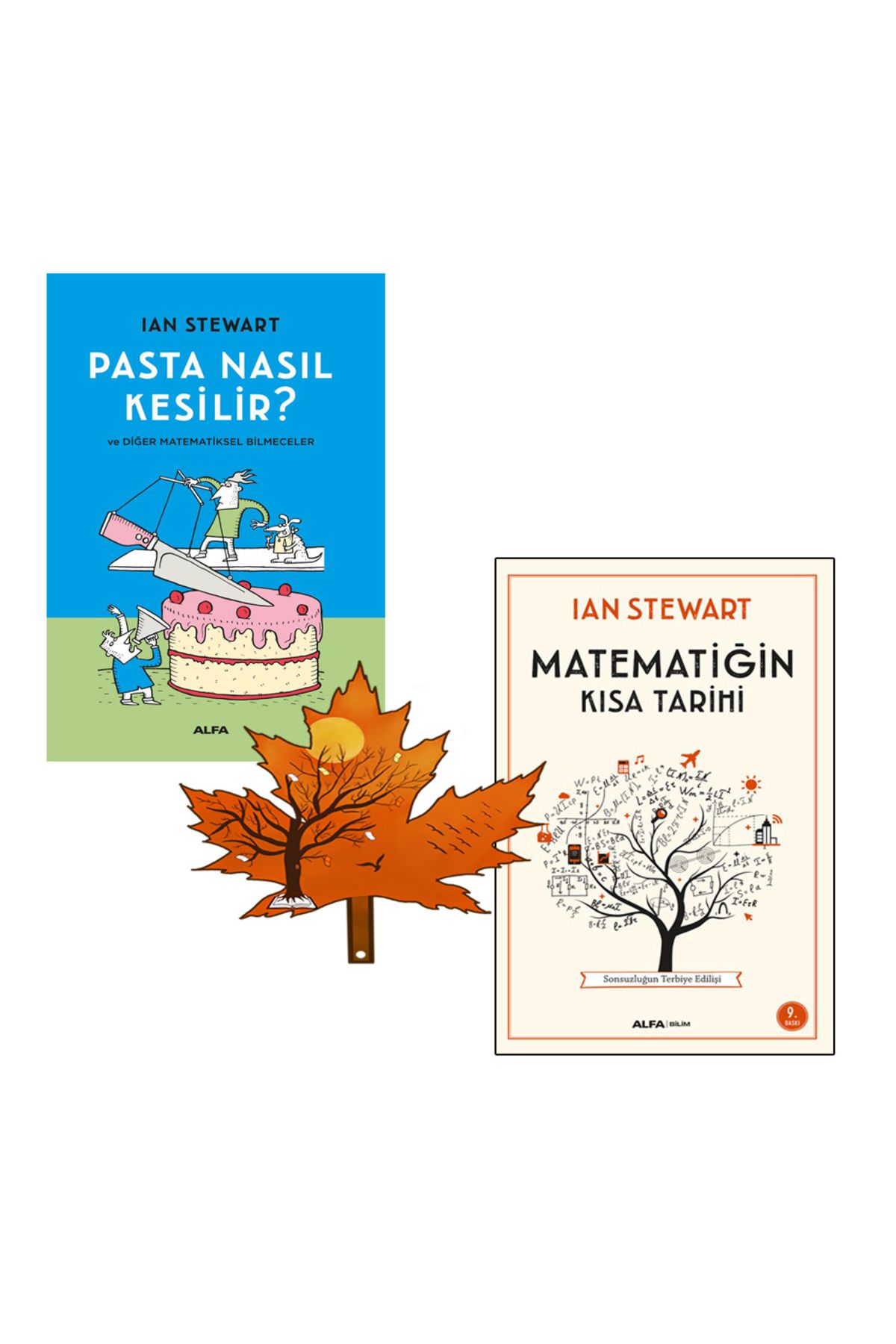 Alfa Yayınları Ian Stewart - matematiğin kısa tarihi - yazarından - pasta nasıl kesilir -2 kitap ve kitap ayracı