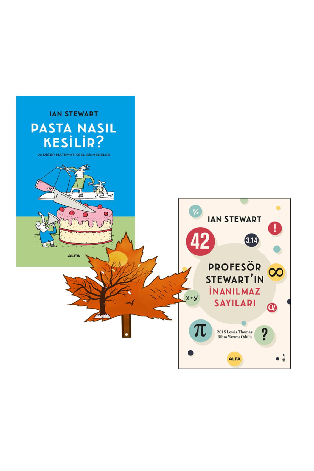 Alfa Yayınları Ian Stewart - pasta nasıl kesilir - Profesör Stewart’ın İnanılmaz Sayıları - kitap ayracı ile