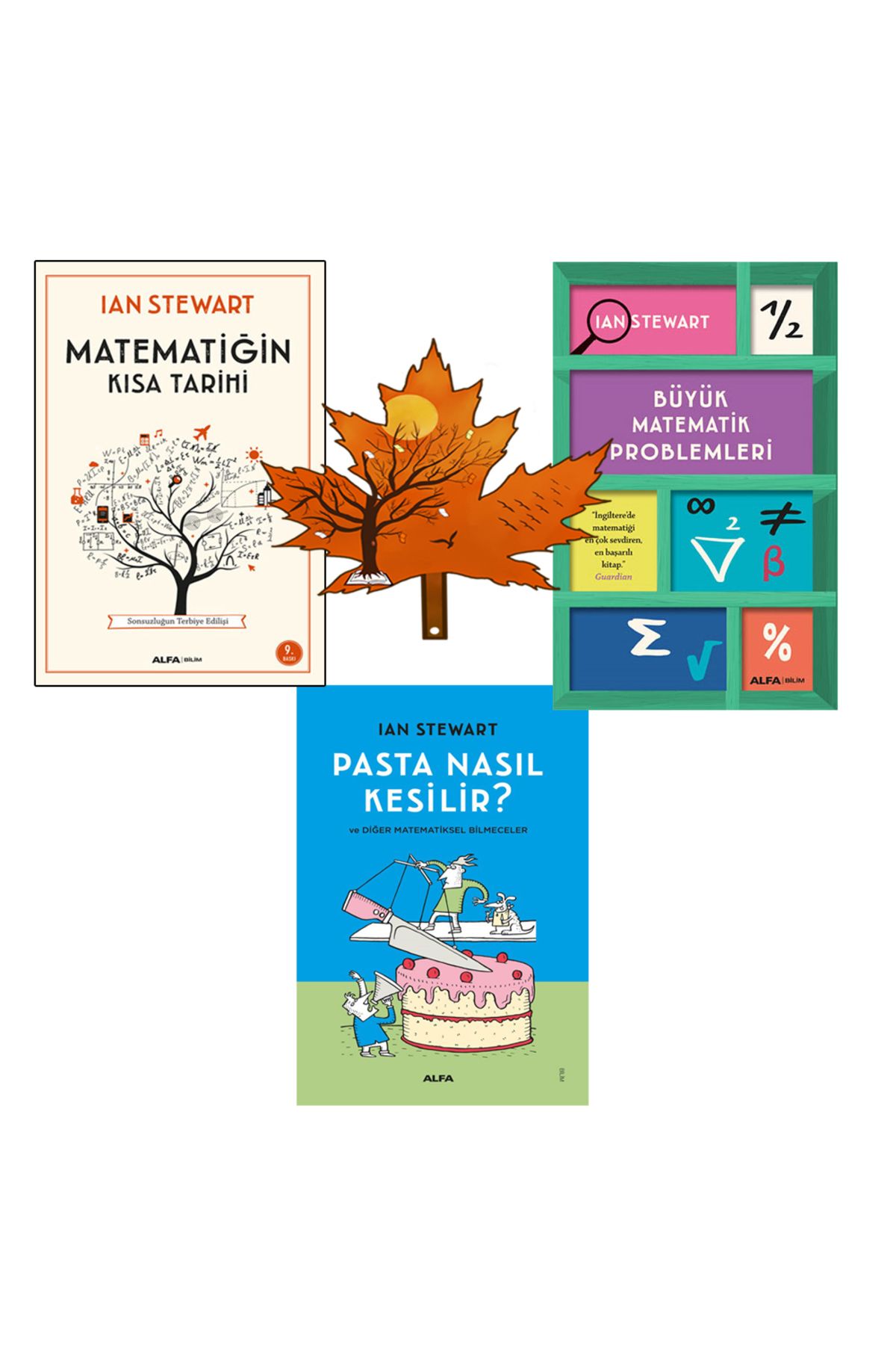 Alfa Yayınları matematiğin kısa tarihi -yazarının 3 kitabı- büyük matematik problemleri - pasta nasıl kesilir