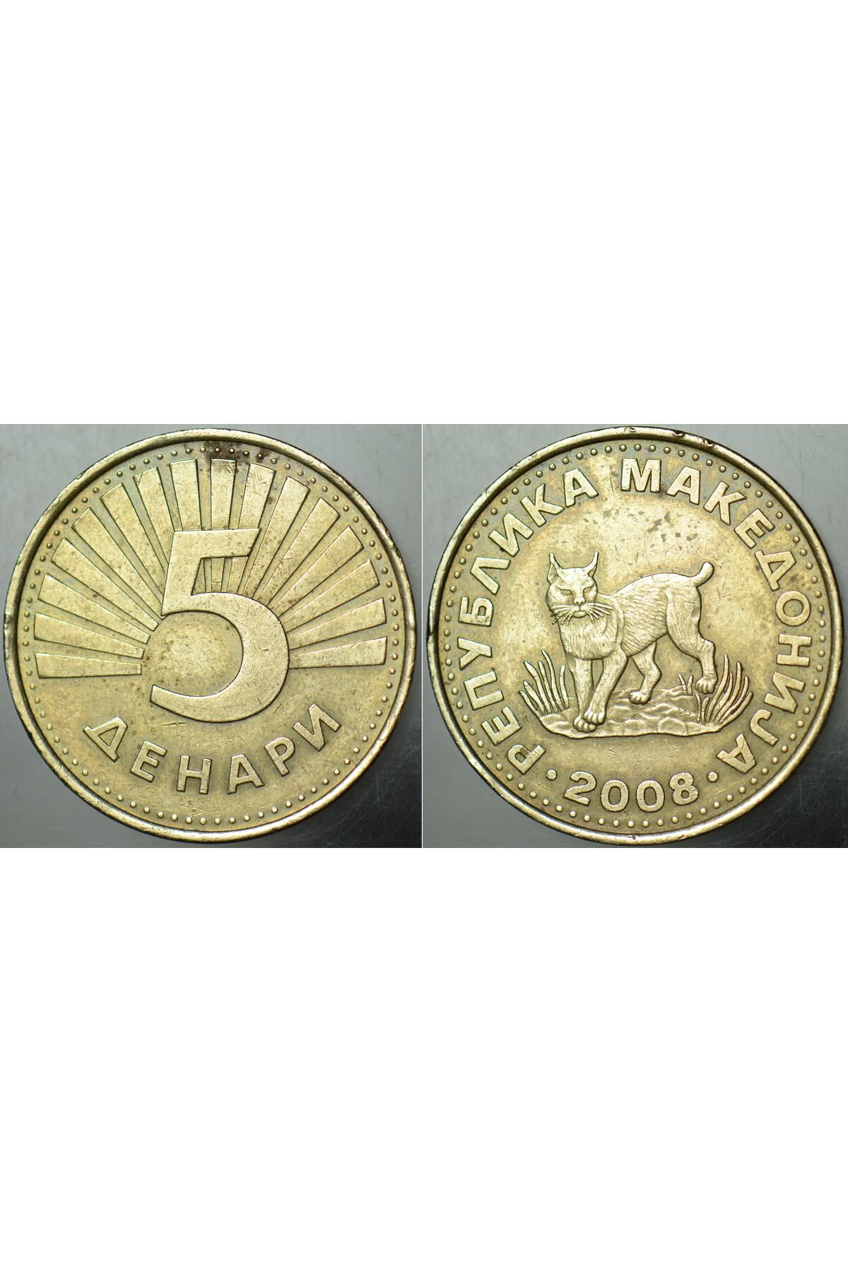 Banknoting MAKEDONYA 5 DENAR 2008 BALKAN VAŞAĞI TEMALI.