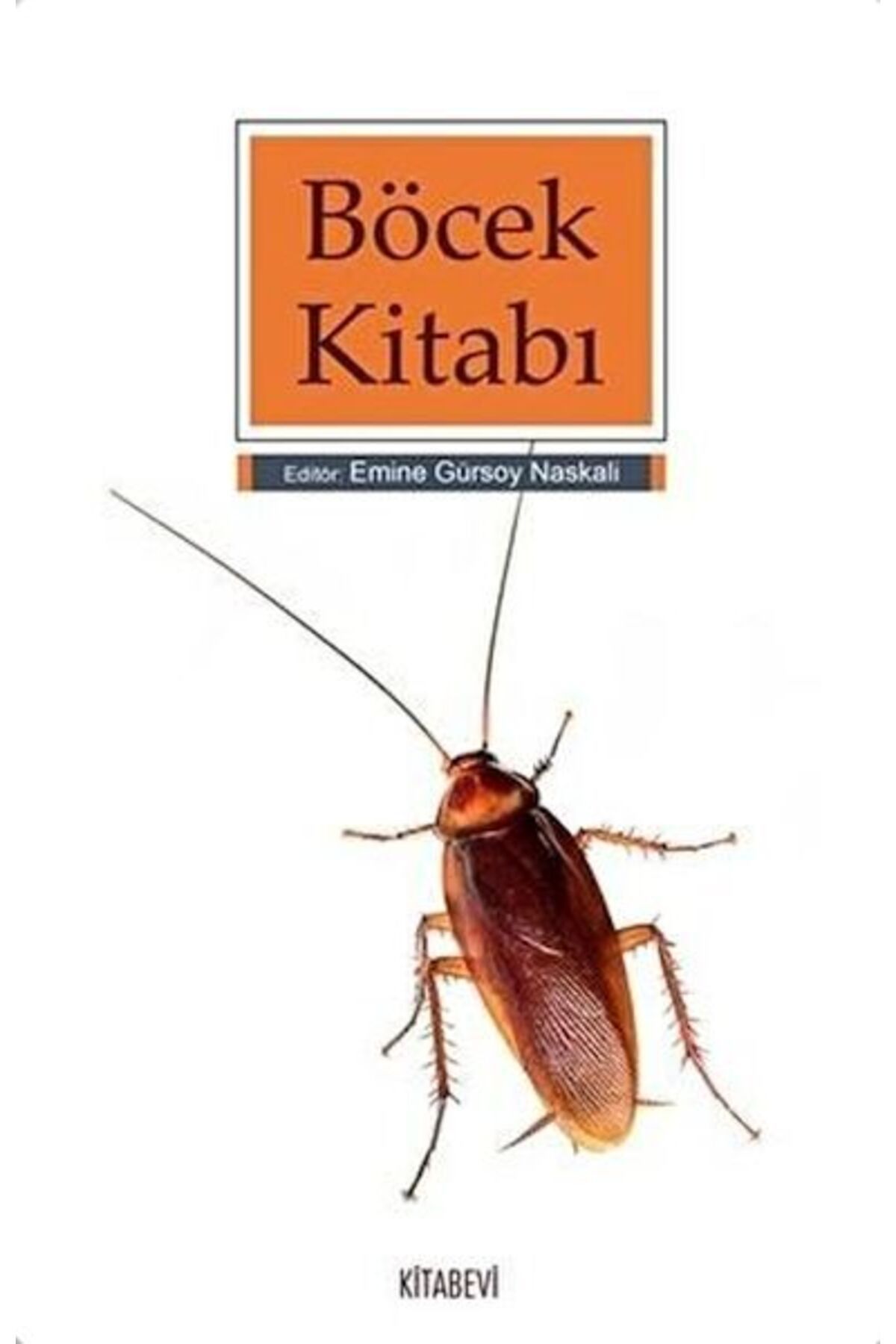 Kitabevi Yayınları Böcek Kitabı