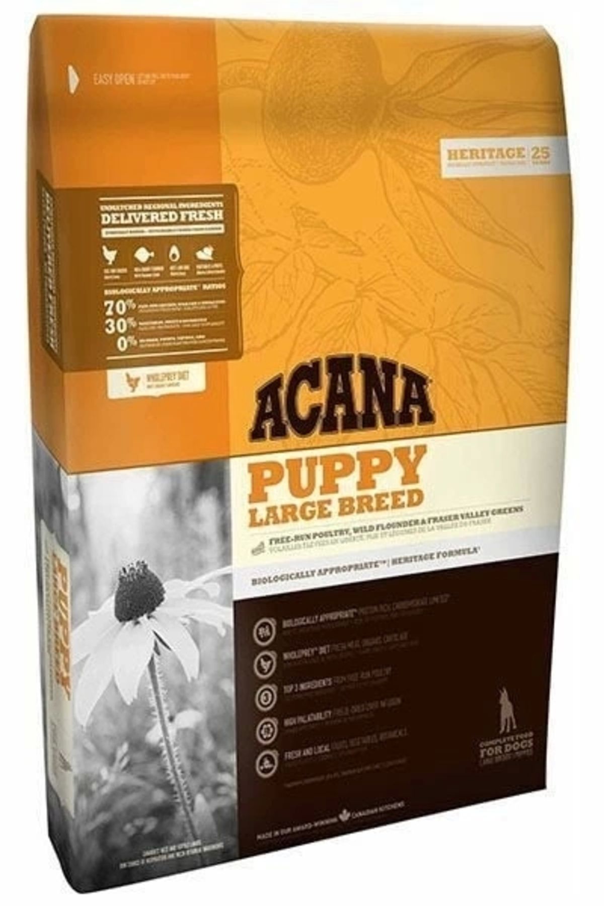 No8 Home Acana Puppy Large Tahılsız Tavuklu ve Balıklı Büyük Irk Yavru Köpek Maması 11.4 Kg