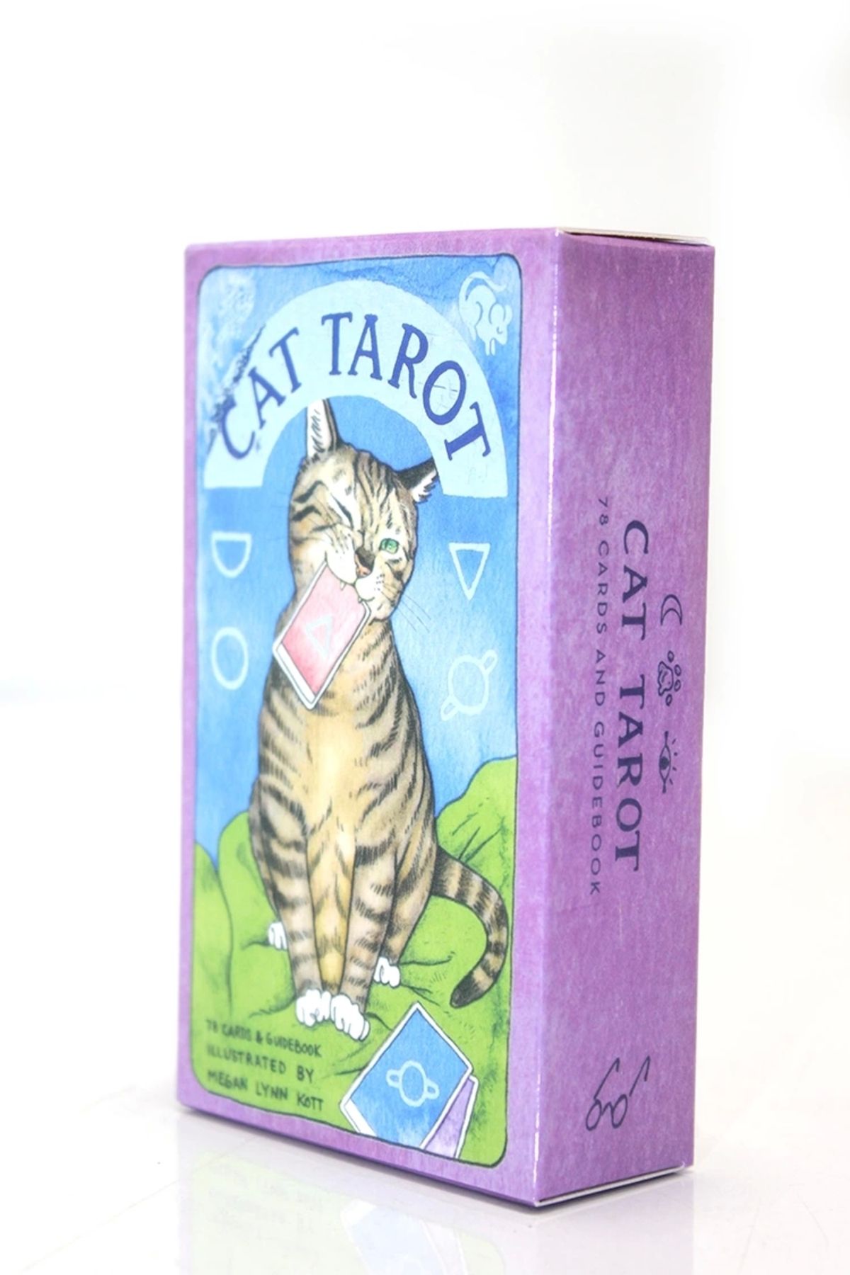 Generic Tarot Kartı Cat Tarot
