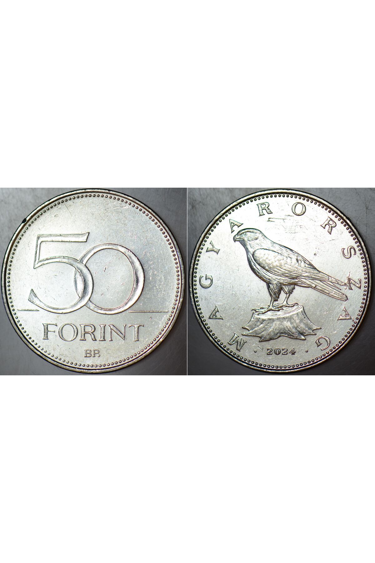 Banknoting MACARİSTAN 50 FORİNT 2024 ŞAHİN TEMALI. ÇİLALTI KONDİSYON.
