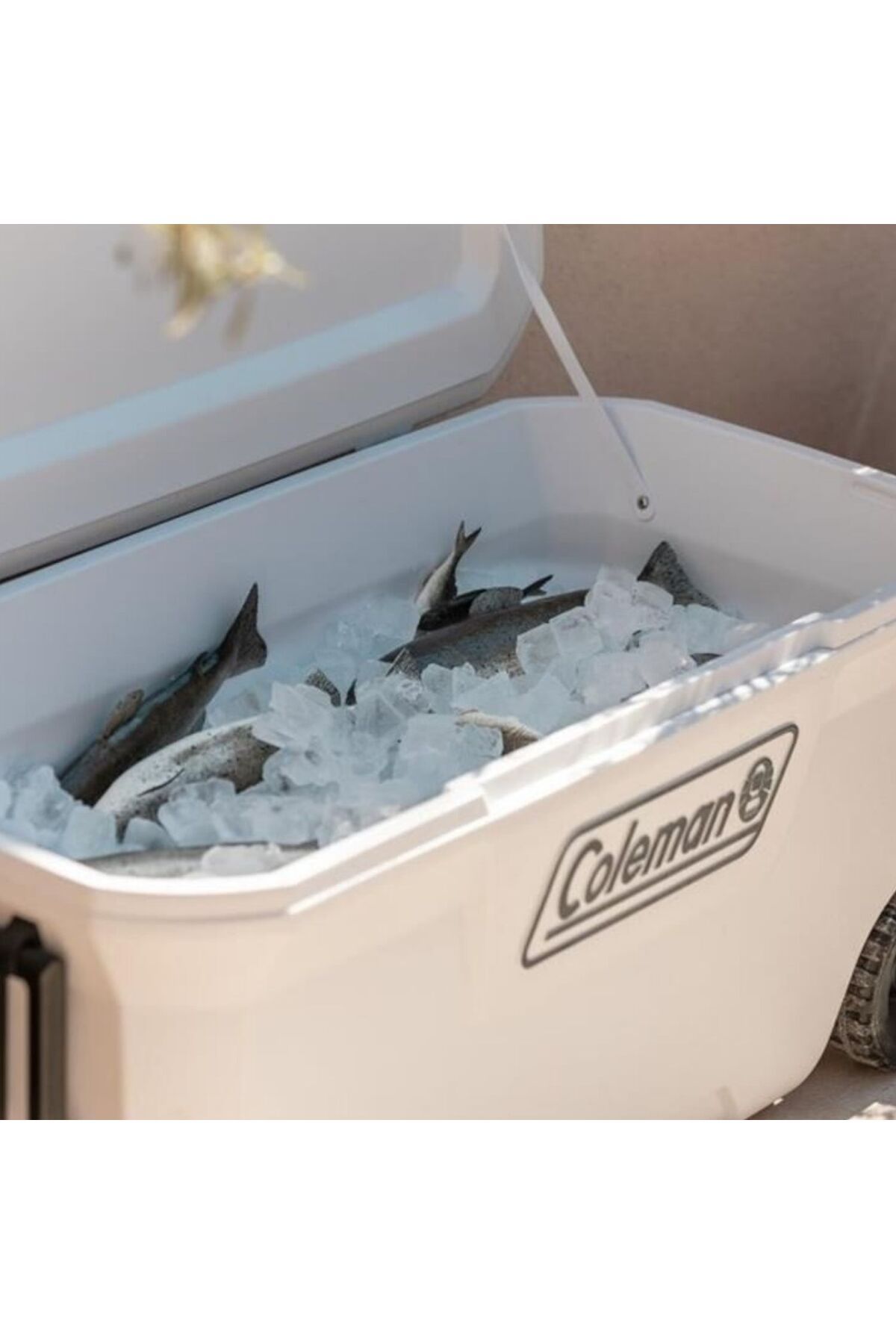 Coleman Soğutucu Buzluk - Coleman - Xtreme Wheeled 100 QT Tekerlekli - 94.6 lt - Beyaz