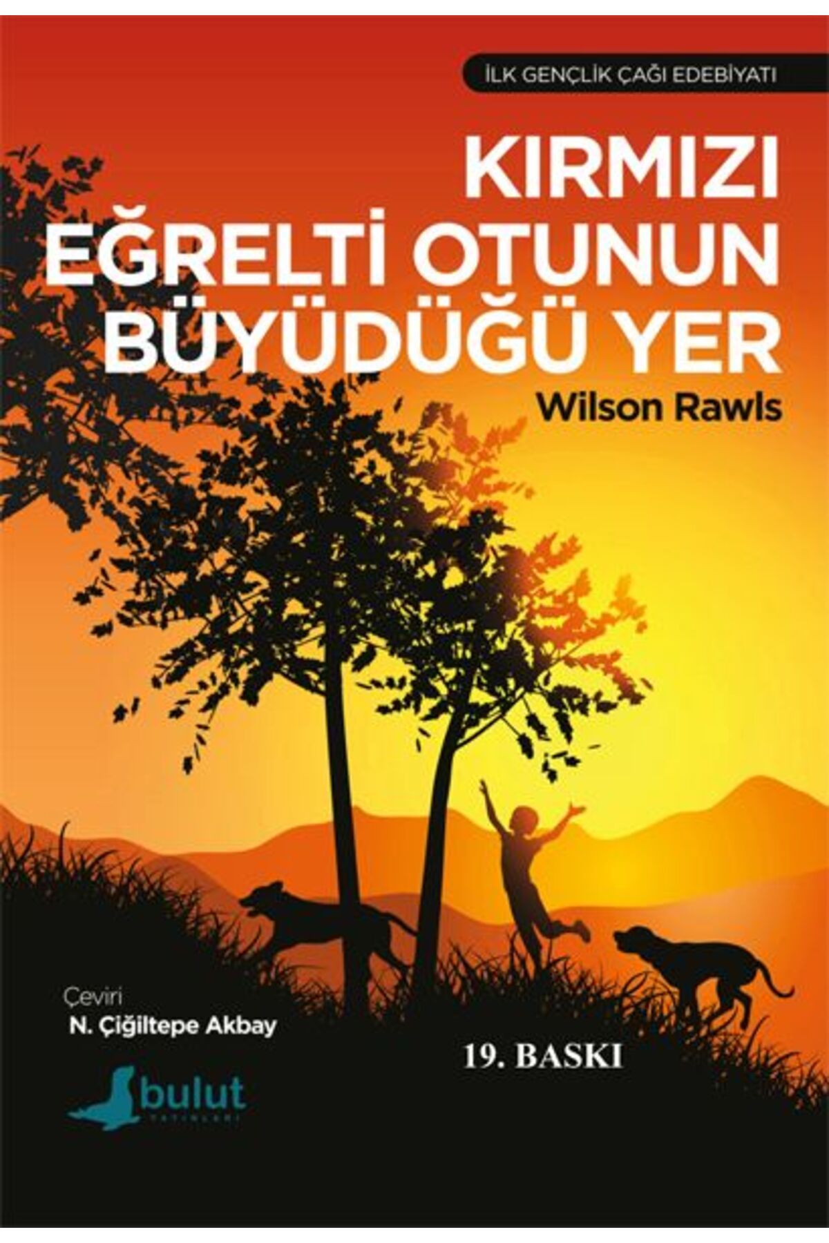 Bulut Yayınları Kırmızı Eğrelti Otunun Büyüdüğü Yer