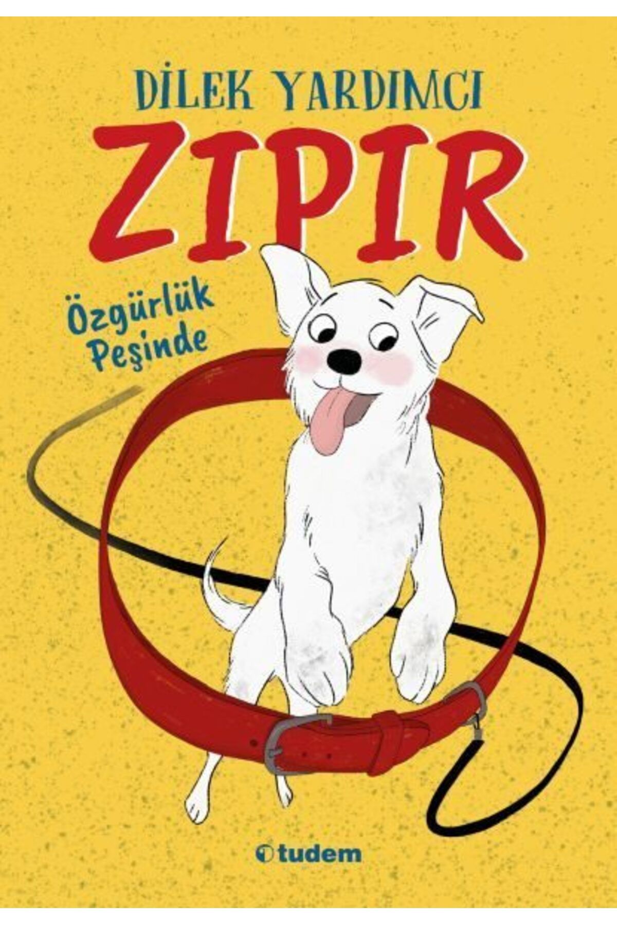 Destek Yayınları Zıpır Özgürlük Peşinde