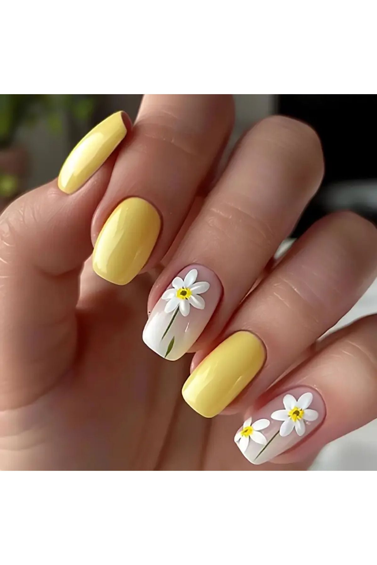Takıtolia Jelüx - Papatya Çiçekli 24 Adet Pastel Sarı Renkli Yapıştırma Tırnak Sanatı Seti Nail Art