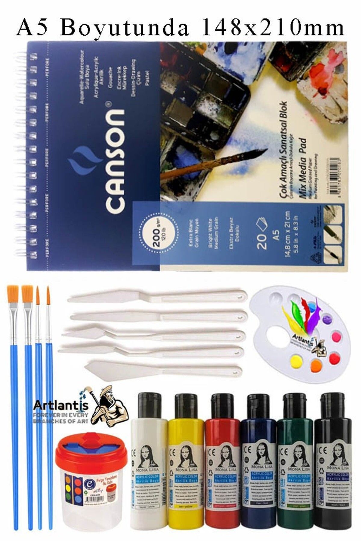 Artlantis Canson Çok Amaçlı Sanatsal Blok A5 200 gr 20 Yaprak 1 Adet 6 Renk Akrilik Boya Fırça Palet Spatula F