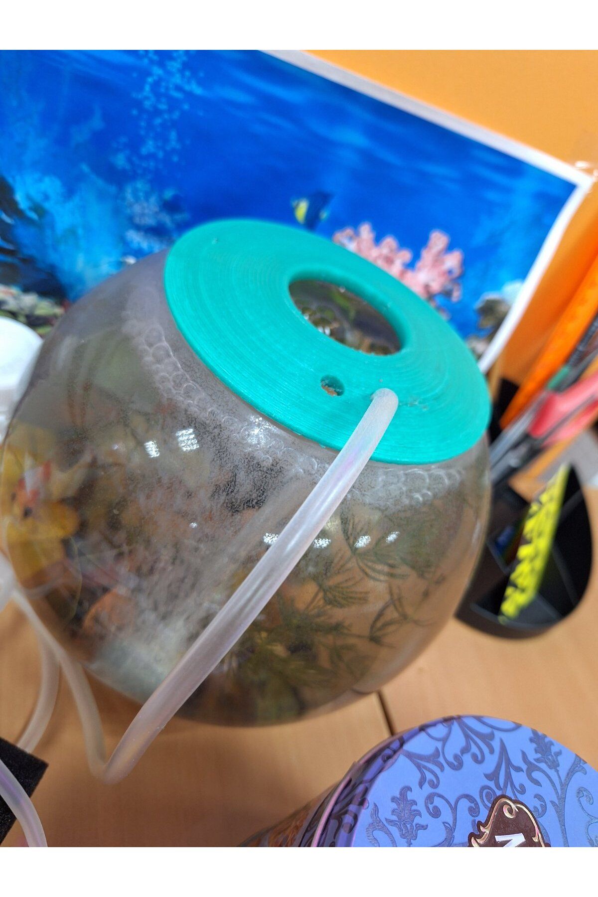 Lucest 2 litre için bir topun akvaryum örtüsü (Plastik Aparattır)