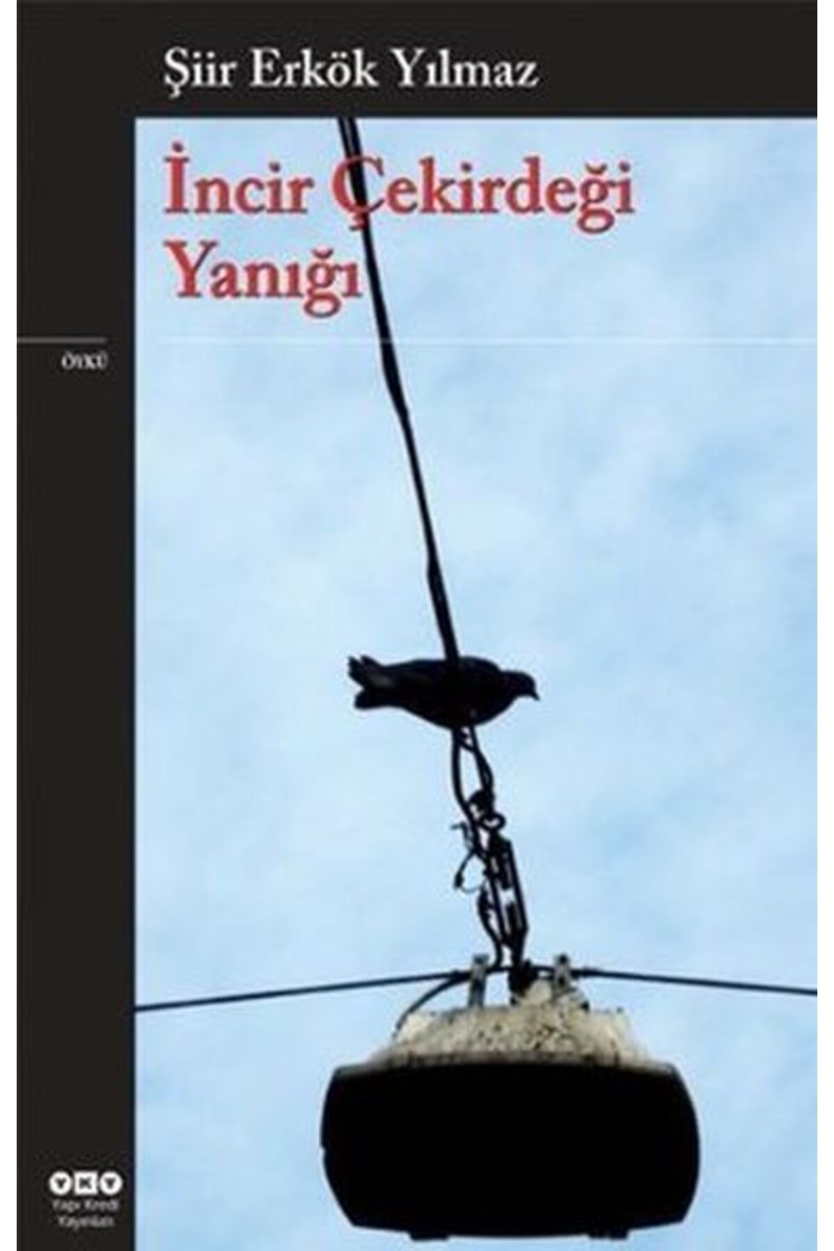 Yuva Yayınları İncir Çekirdeği Yanığı