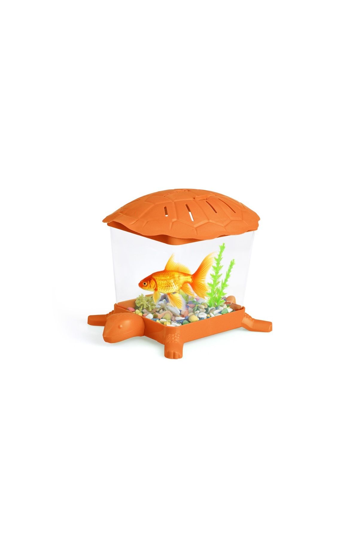 sevgipet Mini Akvaryum |Karışık Renk|14 cm-15 cm
