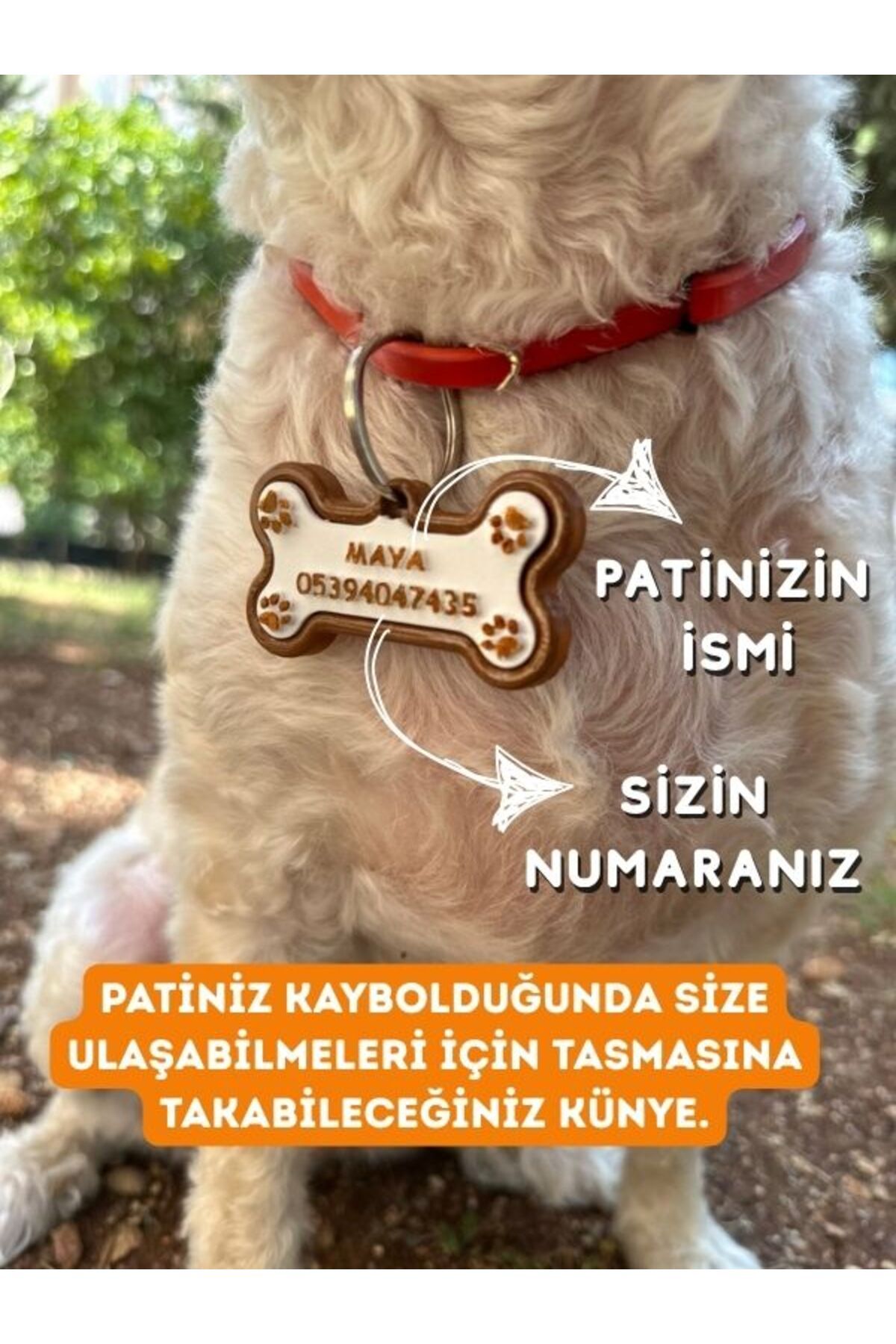 Patimin İzleri İsime Özel Zilli Kedi ve Köpek Künyesi ve Kolyesi