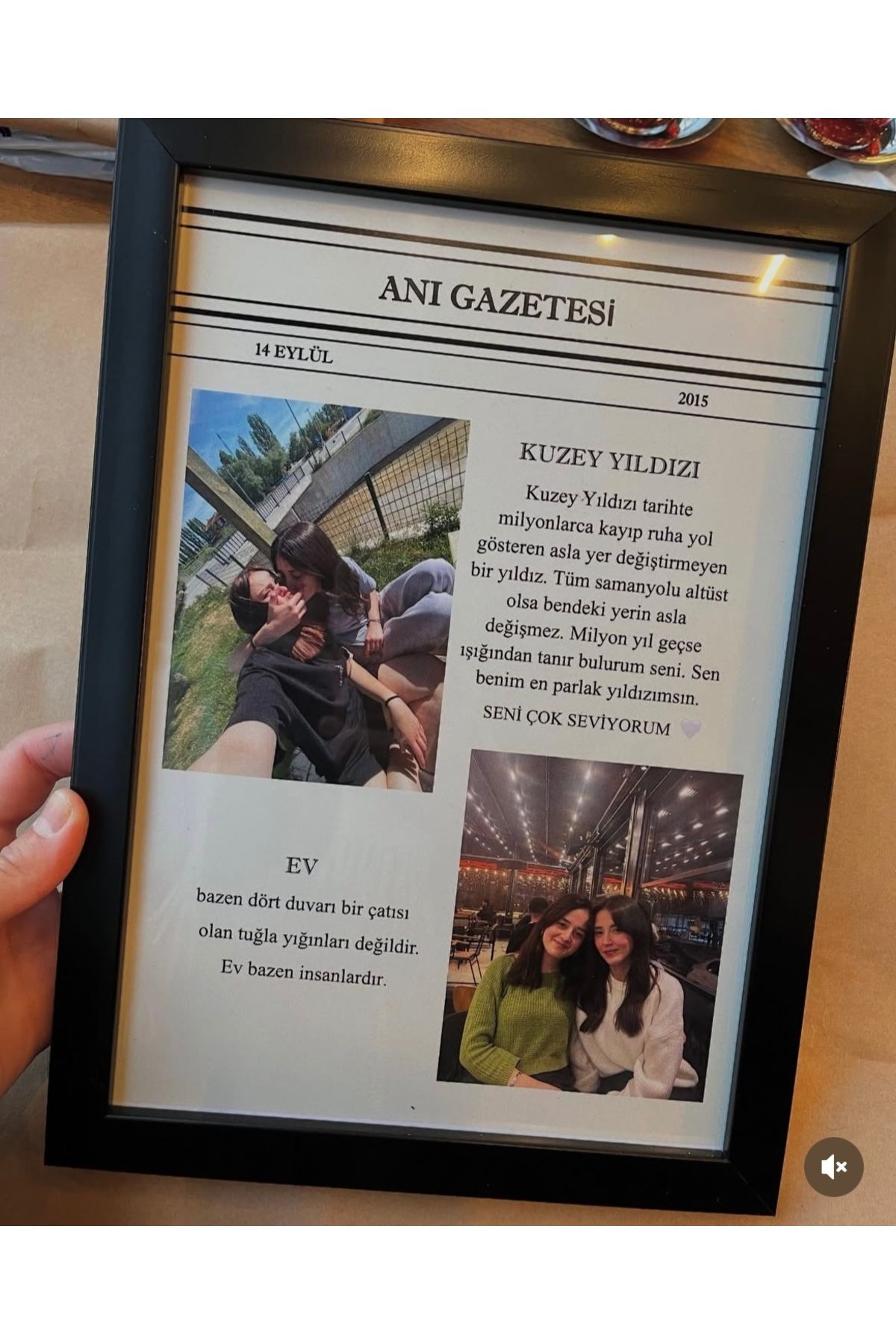 naylişhome Anı Gazetesi Tablo