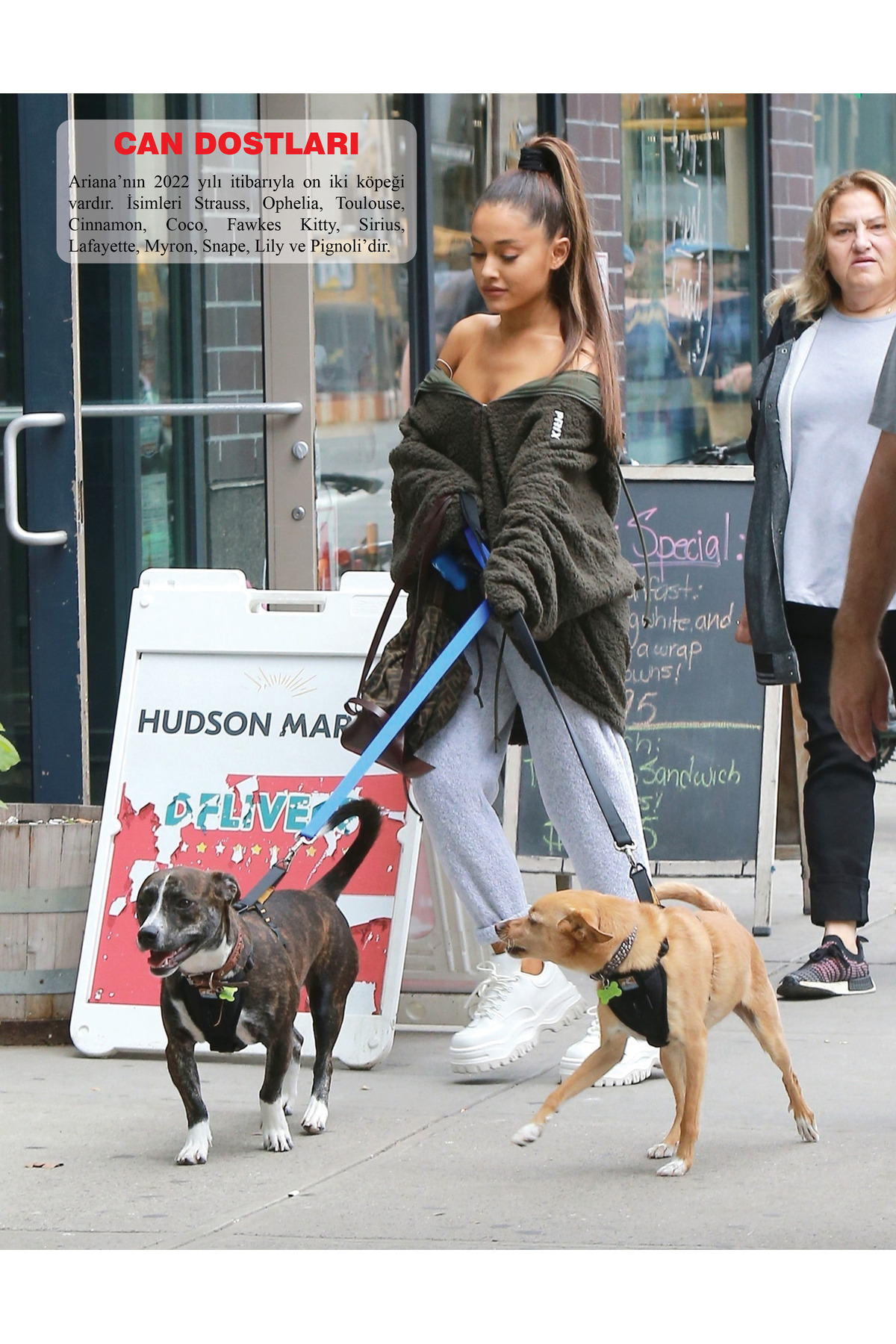 Maxi Yayıncılık Ariana Grande Dergisi Özel Albüm 006 - Fiyatı
