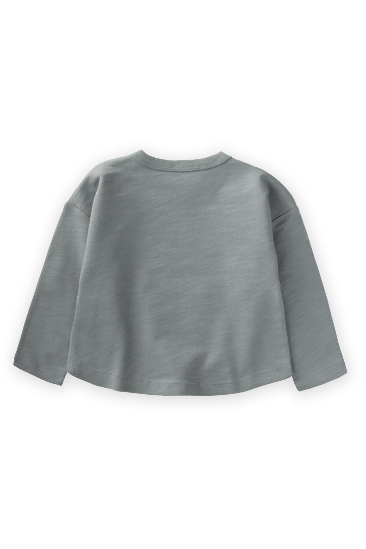 Cigit Adventure Baskılı Erkek Sweatshirt 0-5 Yaş Çağla Yeşili fotoğrafı 2 (önizleme)