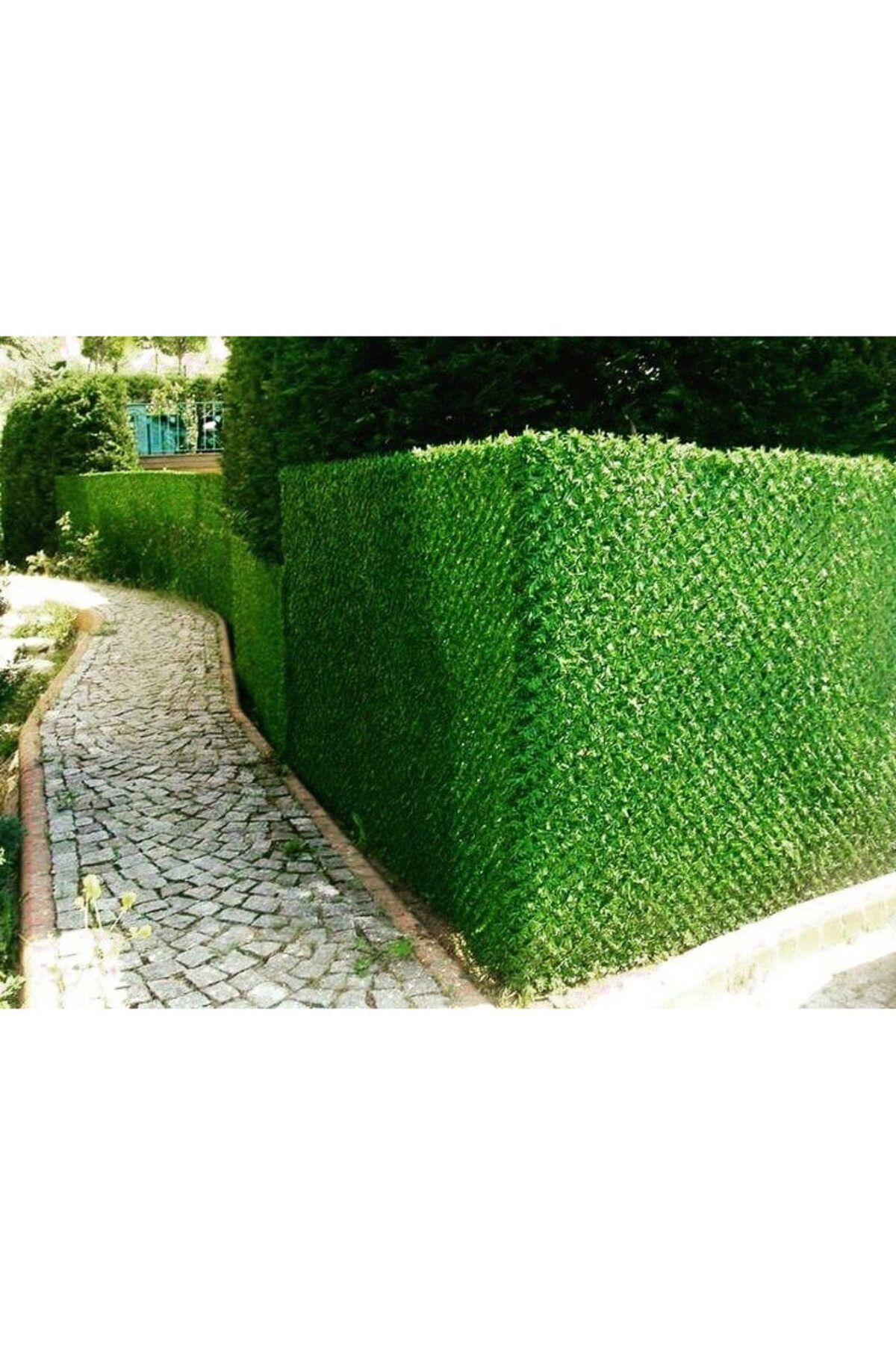 Uşaklıgil-Artificial Privacy Fence 1.5 x 10 m 4
