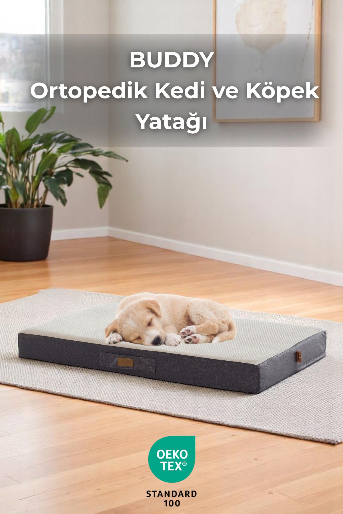 Sevinse Home BUDDY Ortopedik Kedi ve Köpek Yatağı Krem
