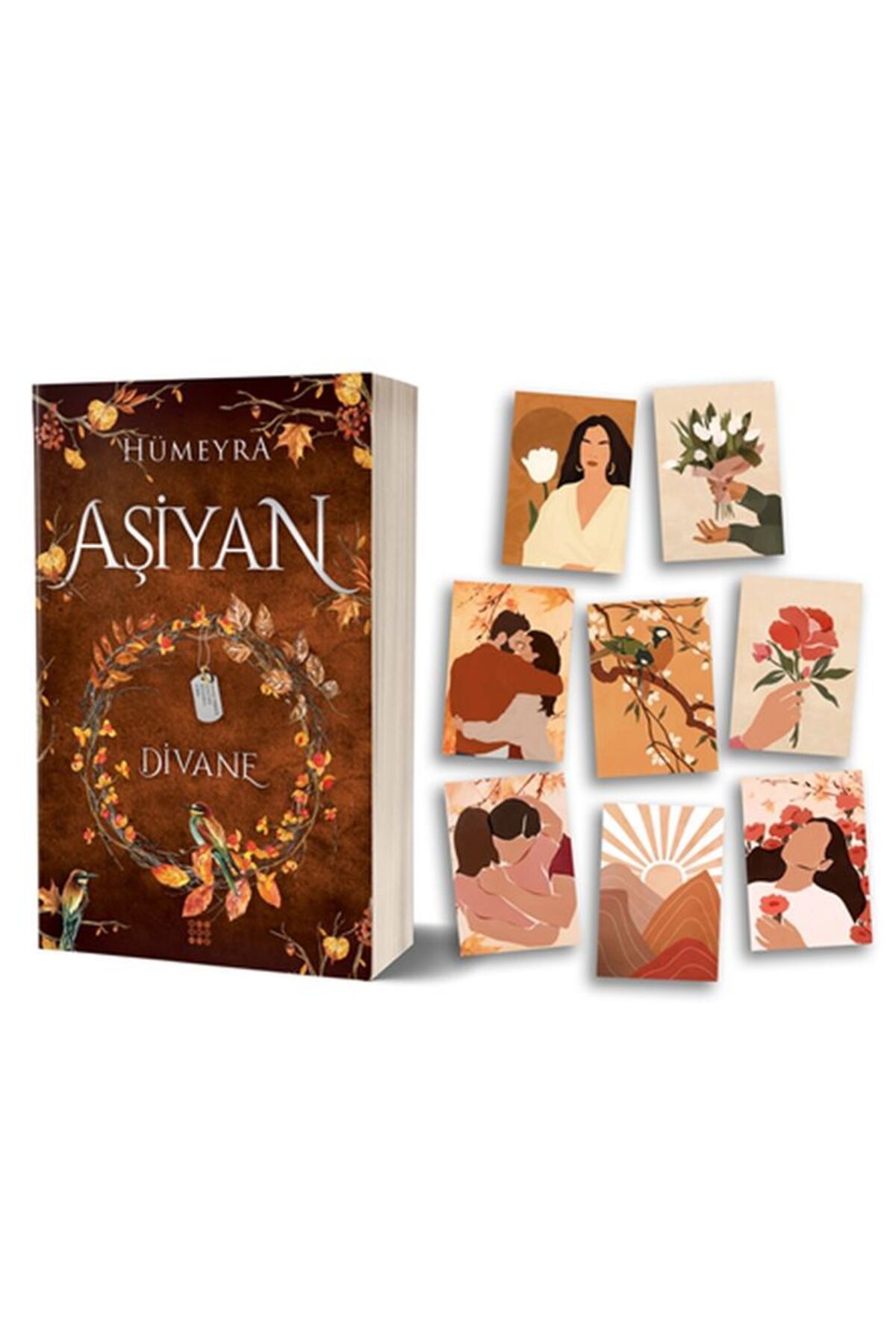 Destek Yayınları Aşiyan 2 - Divane