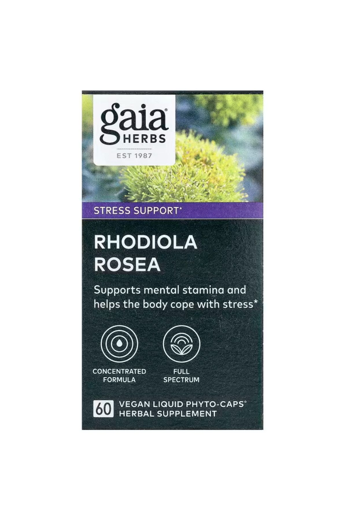 GAIA HERBS , Rhodiola Rosea, 60 Vegan Liquid Phyto-Caps
