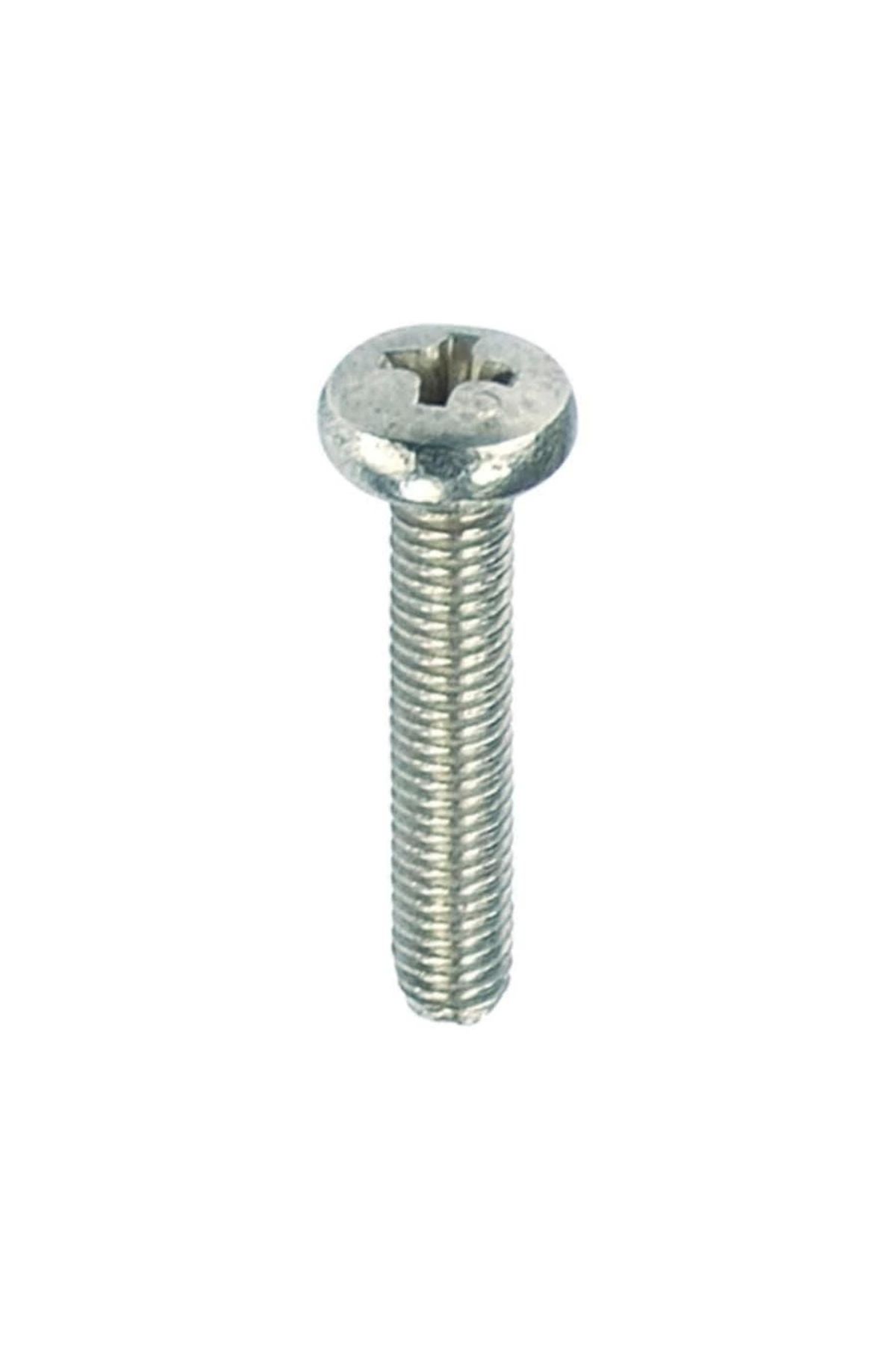 minaydan YSB Vida M4X30 DIN 7895 (20 Adet)
