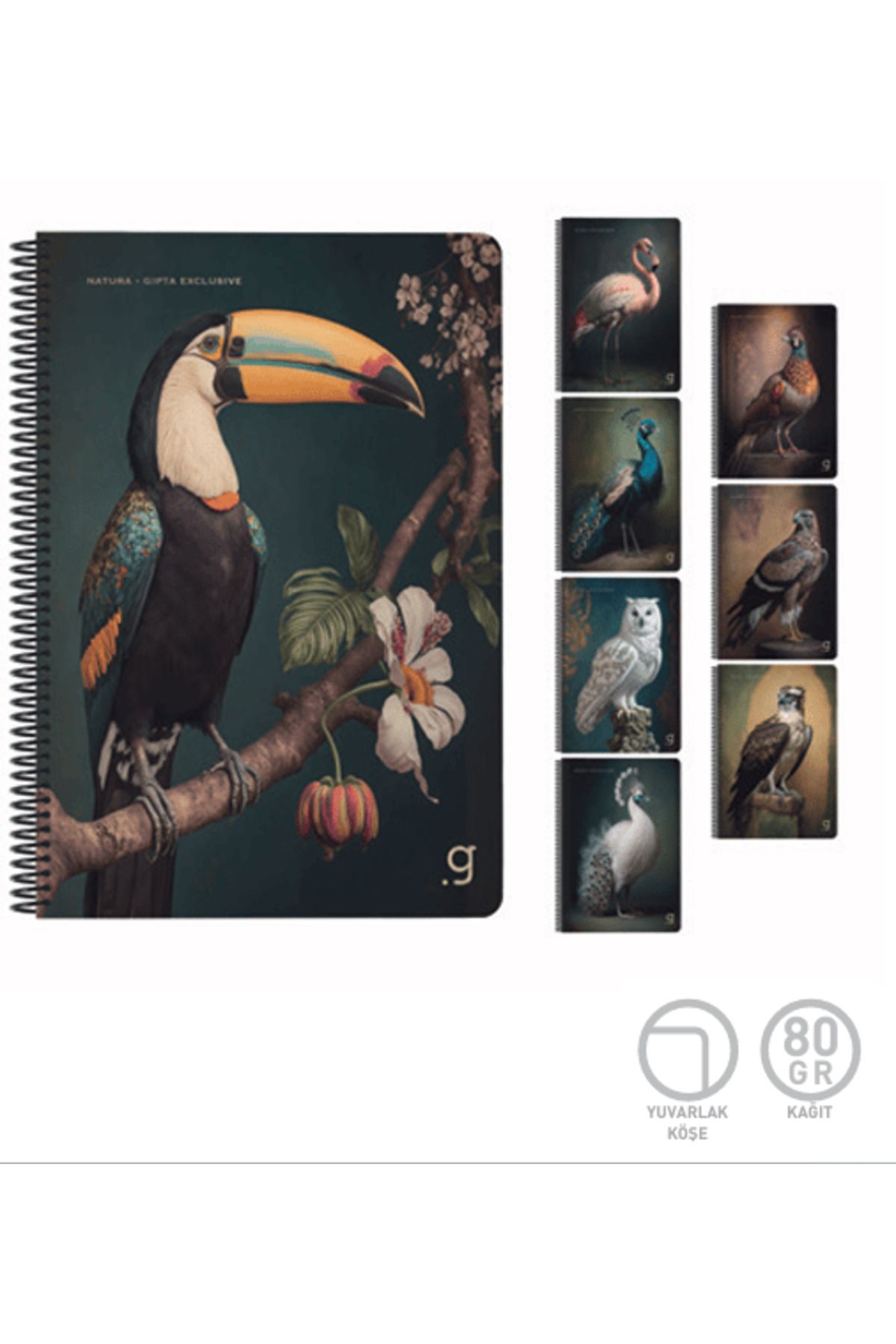 gnsstore Gıpta A4 80Yp Kareli Defter 7058
