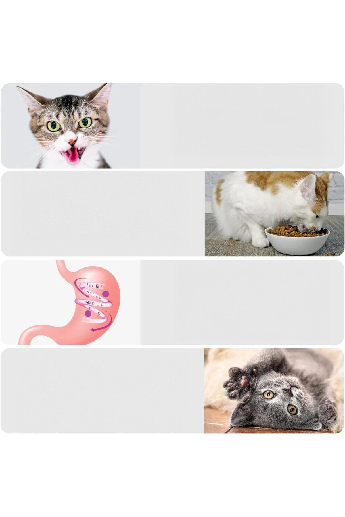 Keriee-Set de jucării cu 3 bile catnip și 2 periuțe de dinți Keriee, multicolor, plastic/textil 4
