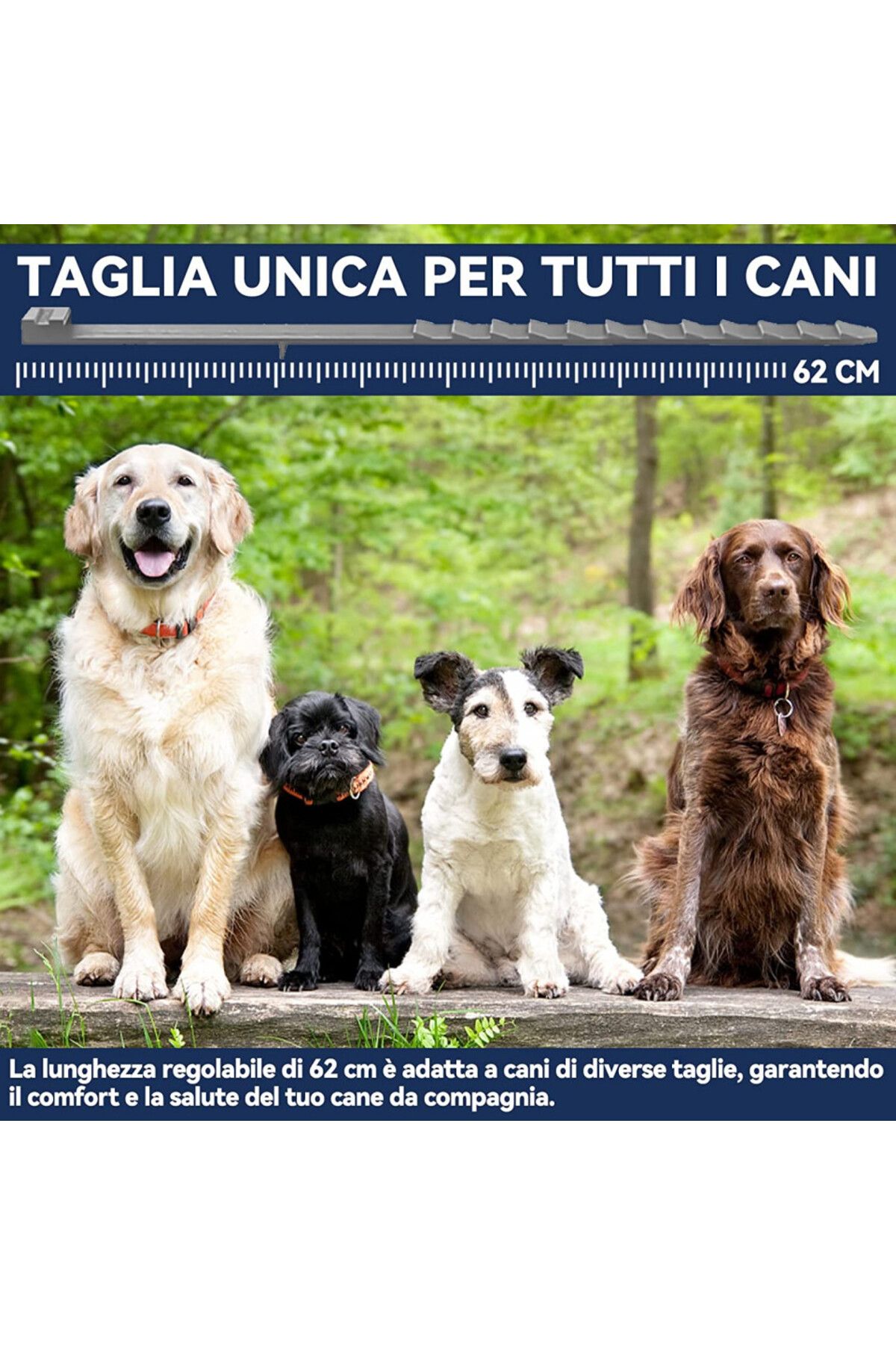 Rmolitty-Zgardă calmantă pentru câini, ecologică, 62 cm 2