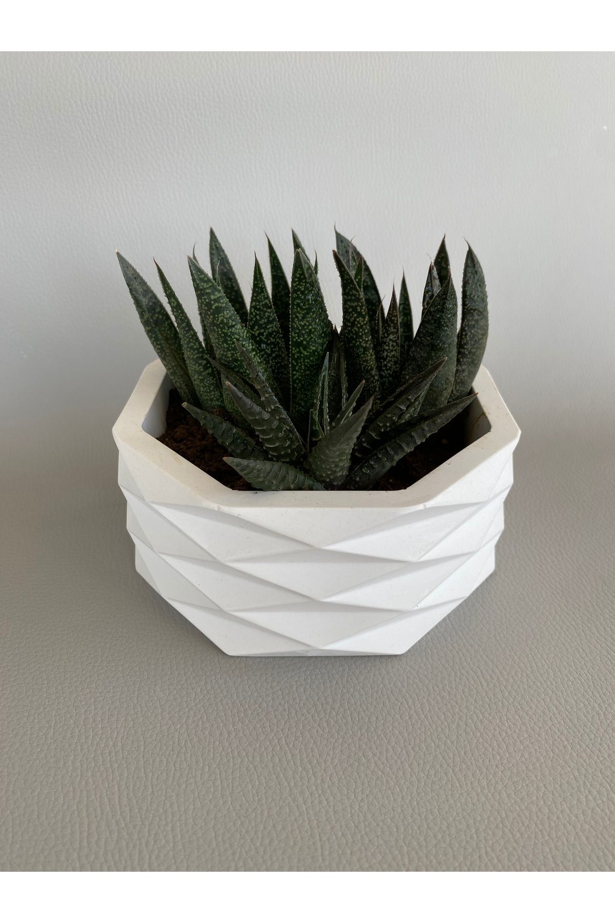 SELAR HOME DECOR Dekoratif Prizma saksı