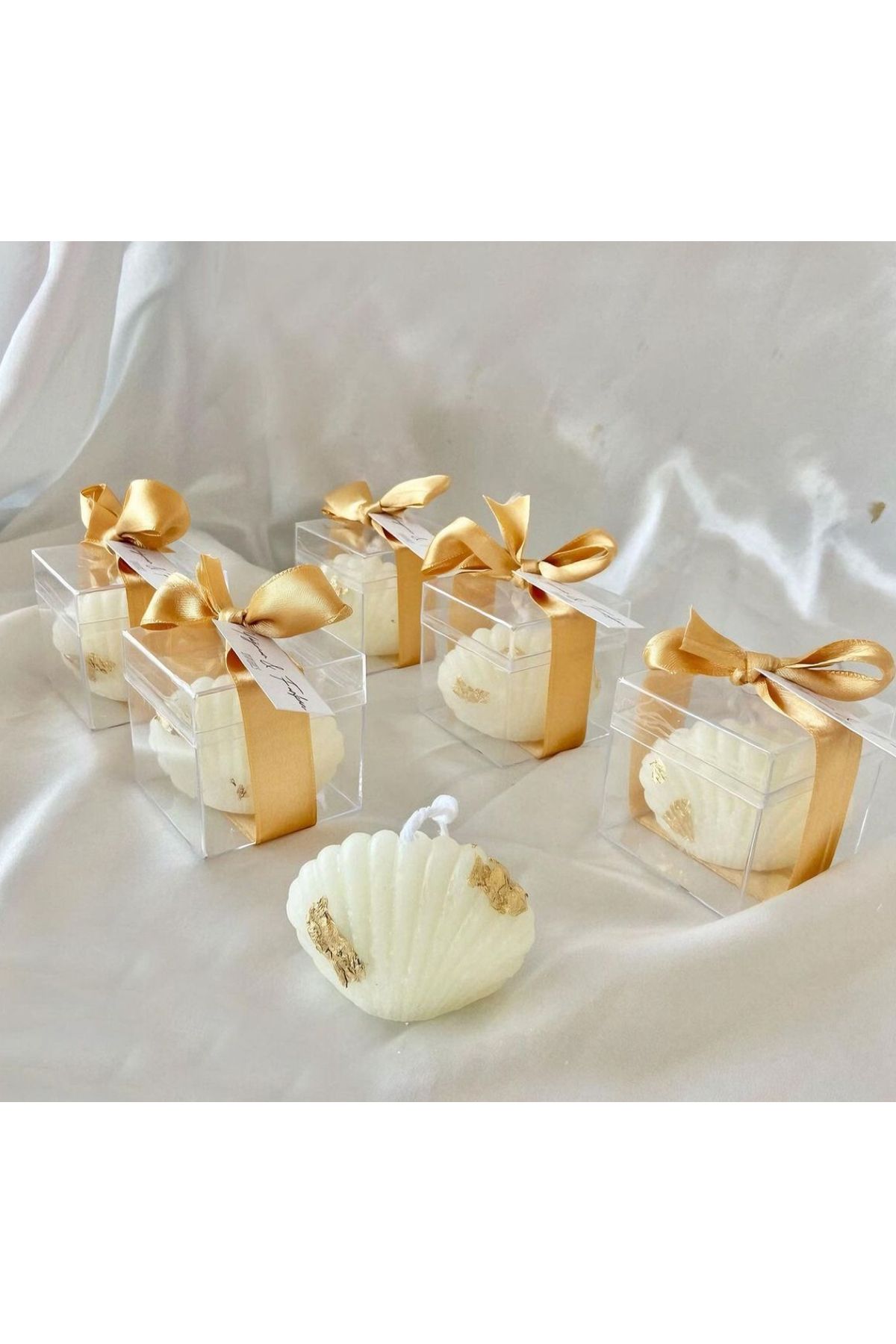 Elofy CANDLE İstiridye Mum
