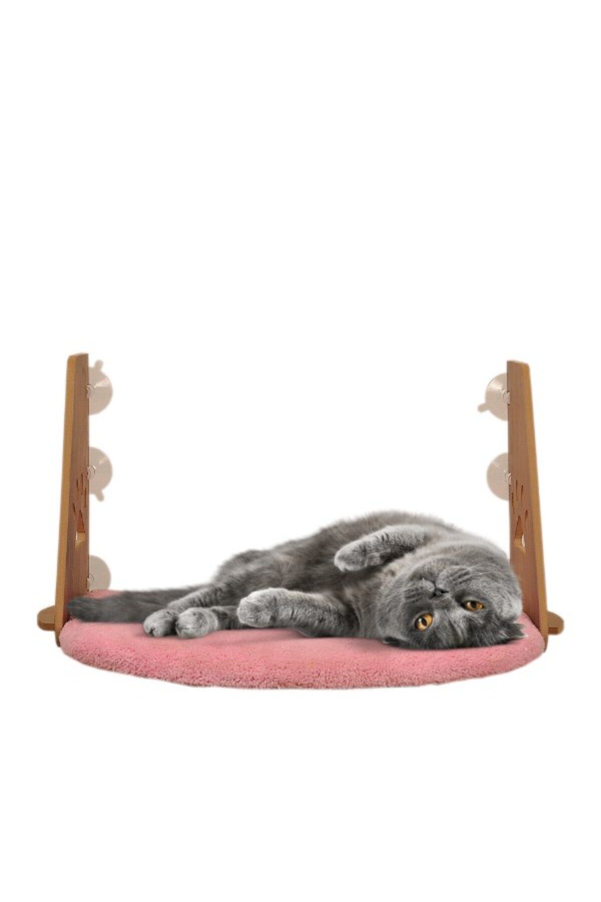 SENNEDİLERSEN Kedi Cam Yatağı , Vantuzlu Kedi Cam Yatak