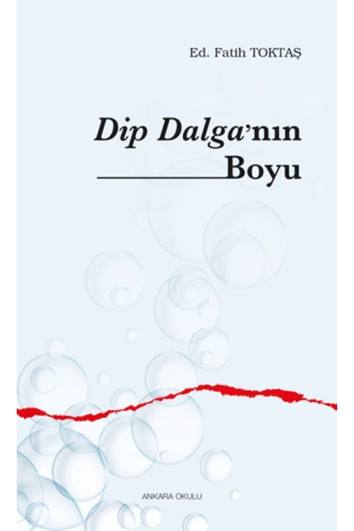 Ankara Okulu Yayınları Dip Dalga’nın Boyu