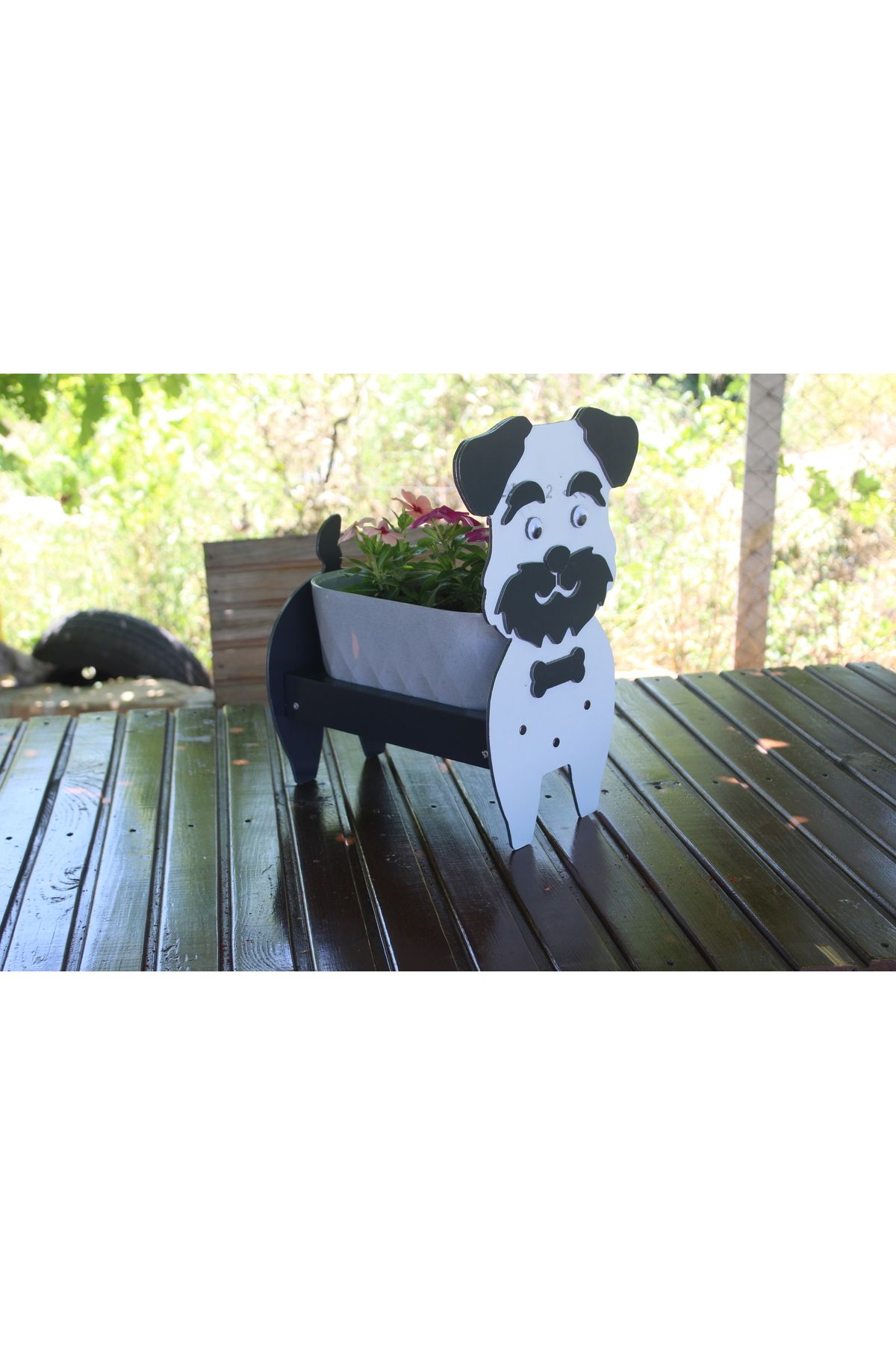 Home köpek saksı