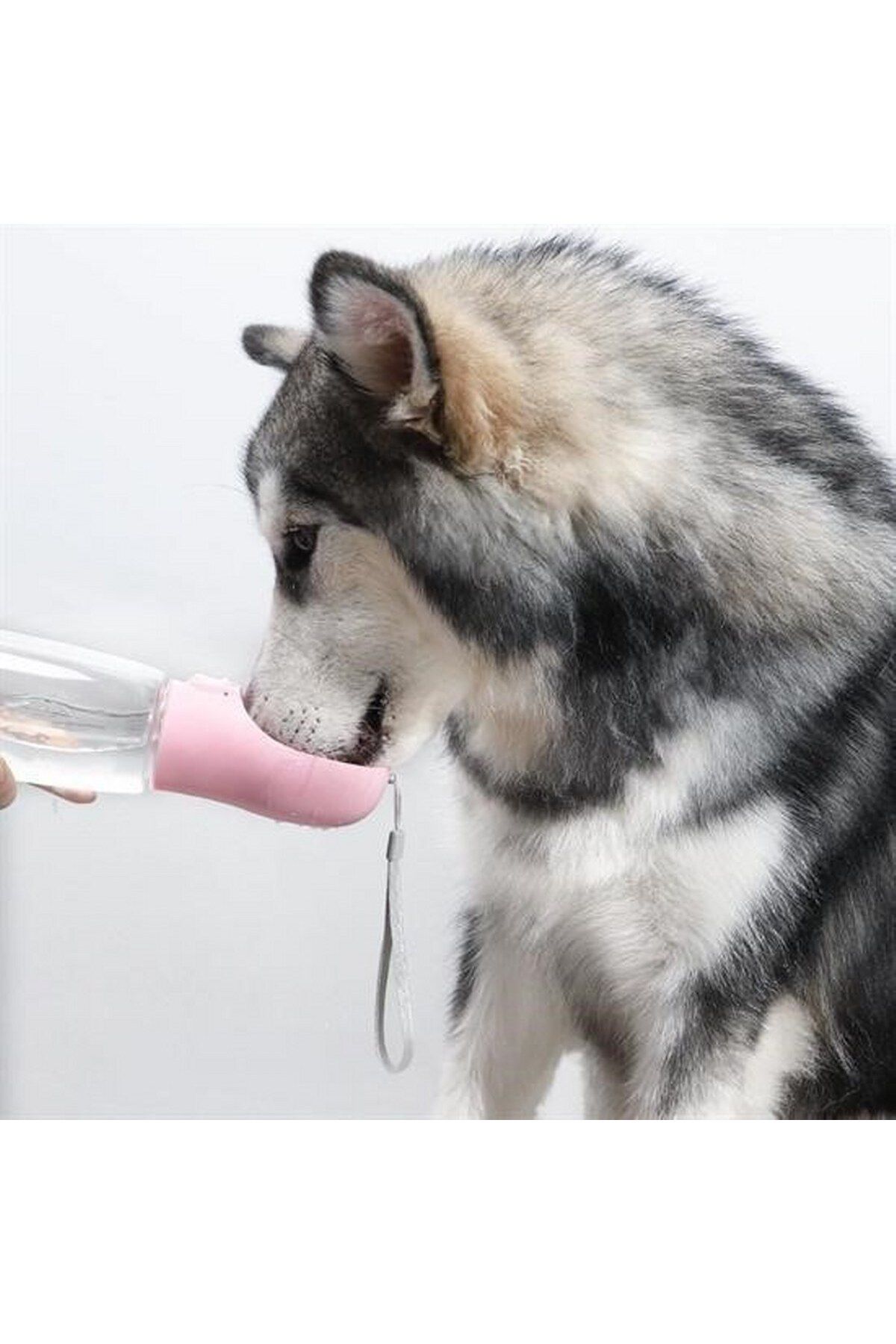 tedaks-350 ml Pet Waterer with Portable Button 4