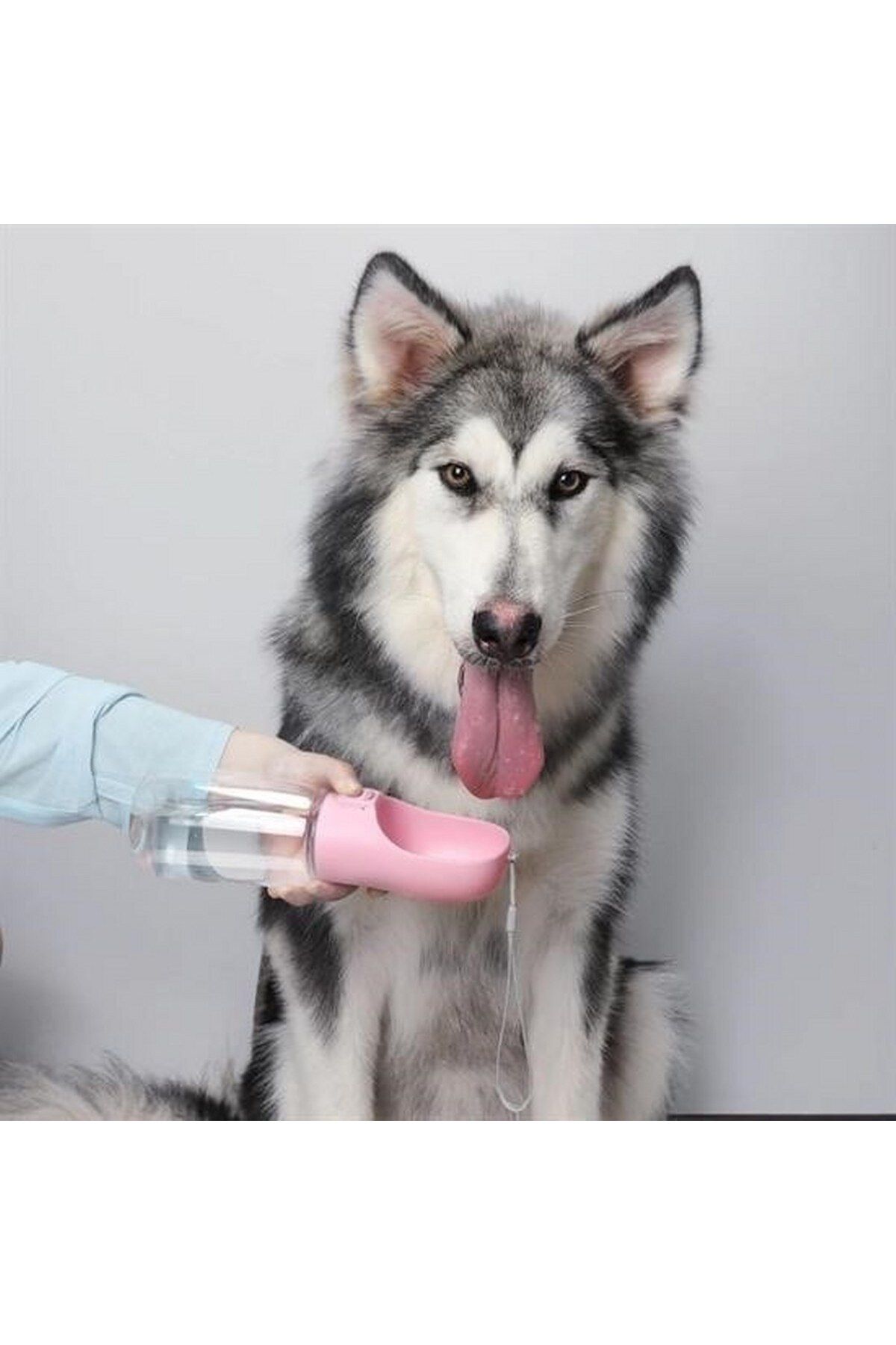 tedaks-350 ml Pet Waterer with Portable Button 7