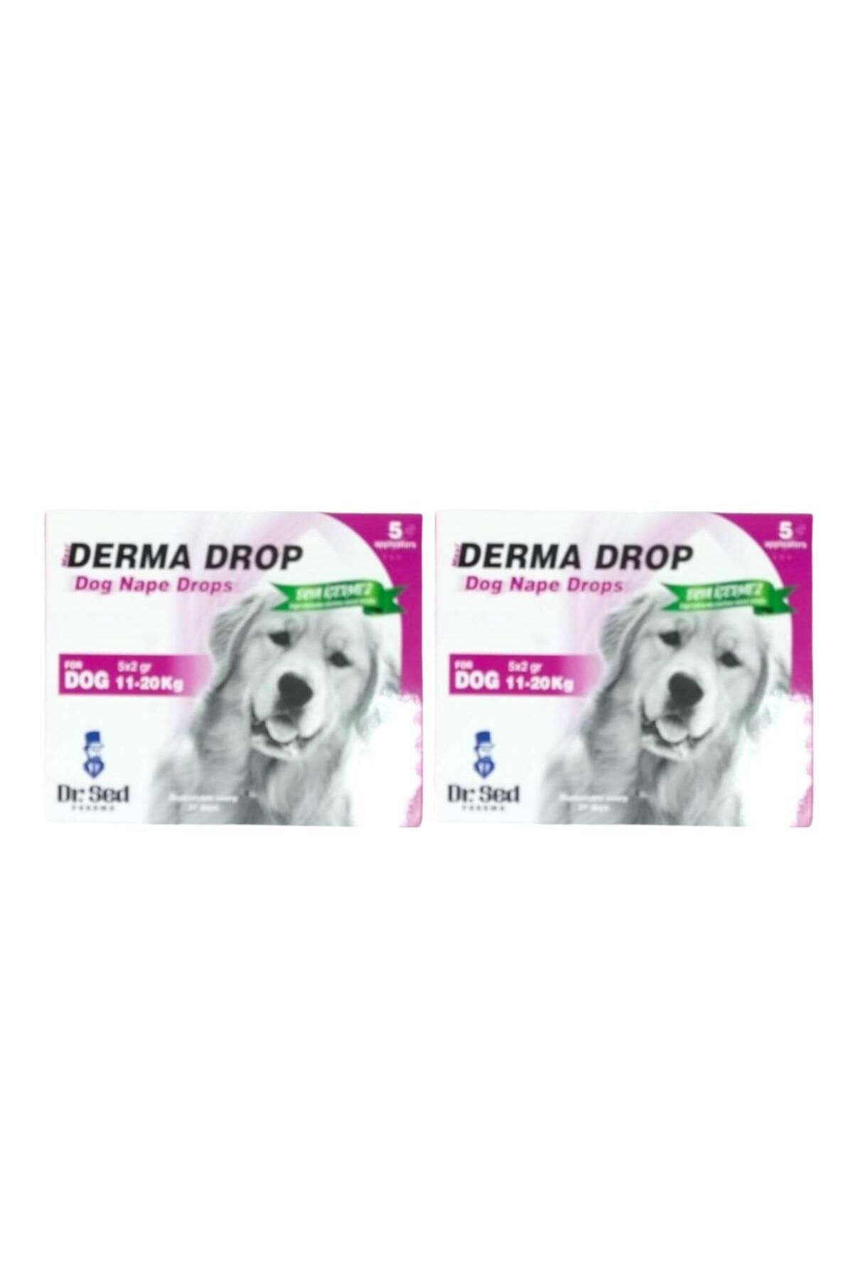 Dr.Sed 11–20 kg Arasındaki Köpekler İçin Bitkisel Bakım Damlaları – 5 x 2 ml Şase 2 Kutu