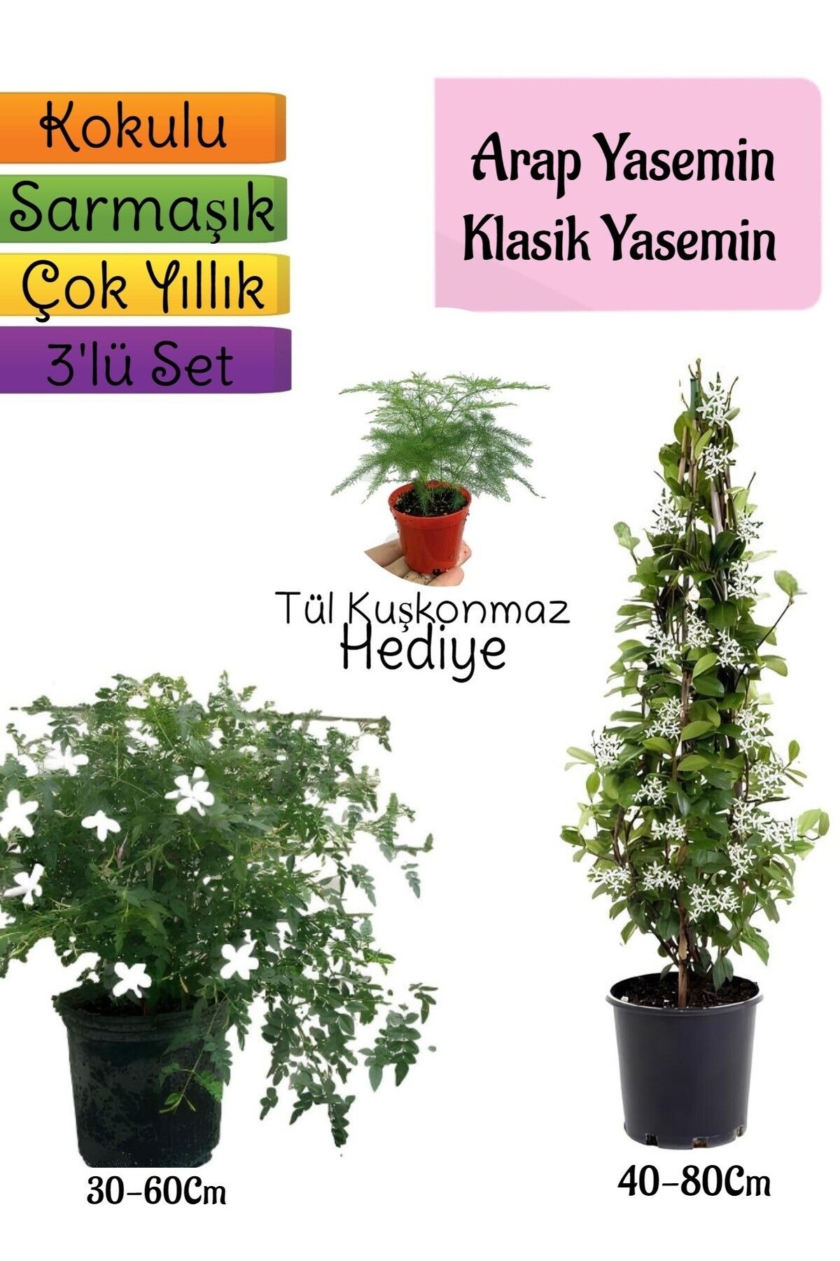 Gardenbox Çok Avantajlı Kokulu Arap Yasemini+KlasikYasemin+Tül Kuşkonmaz Hediyeli 3'lü Bahçe Seti